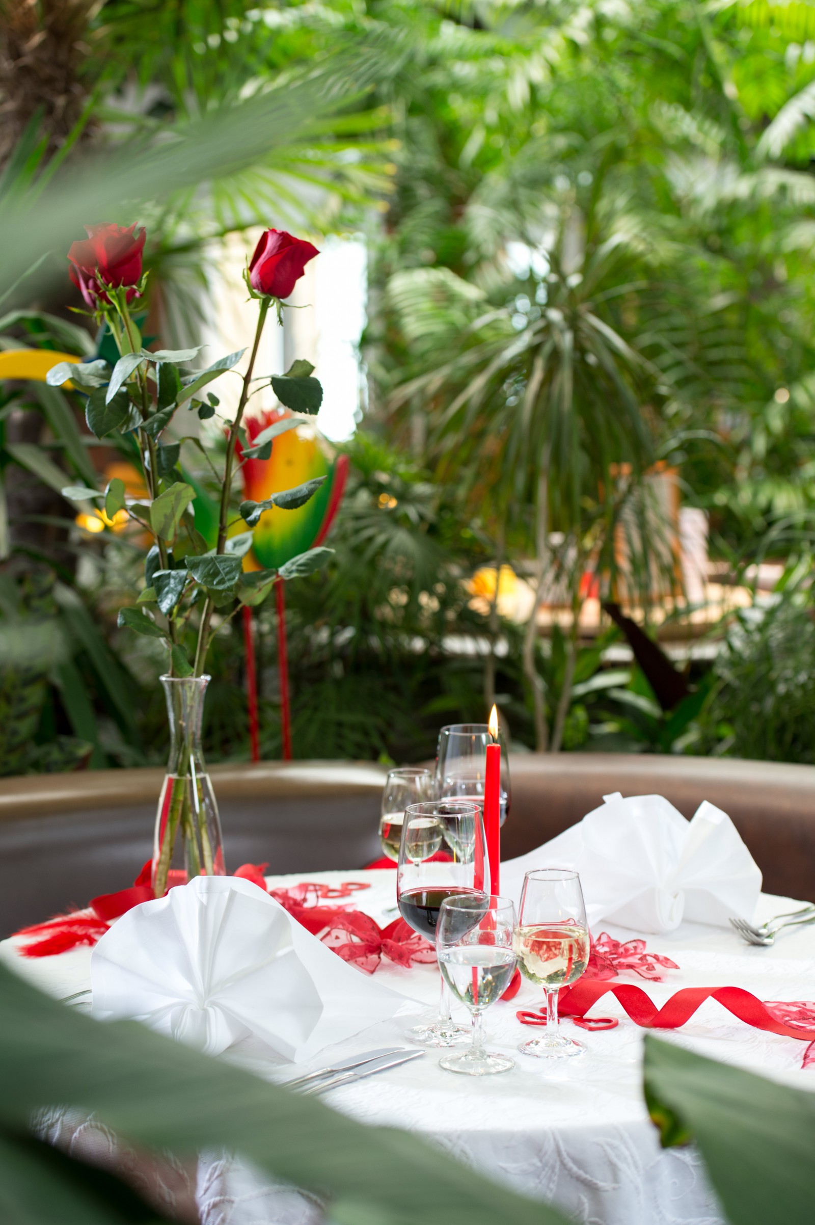 Tropepflanzen Restaurant Florida in Studen, Foto 12