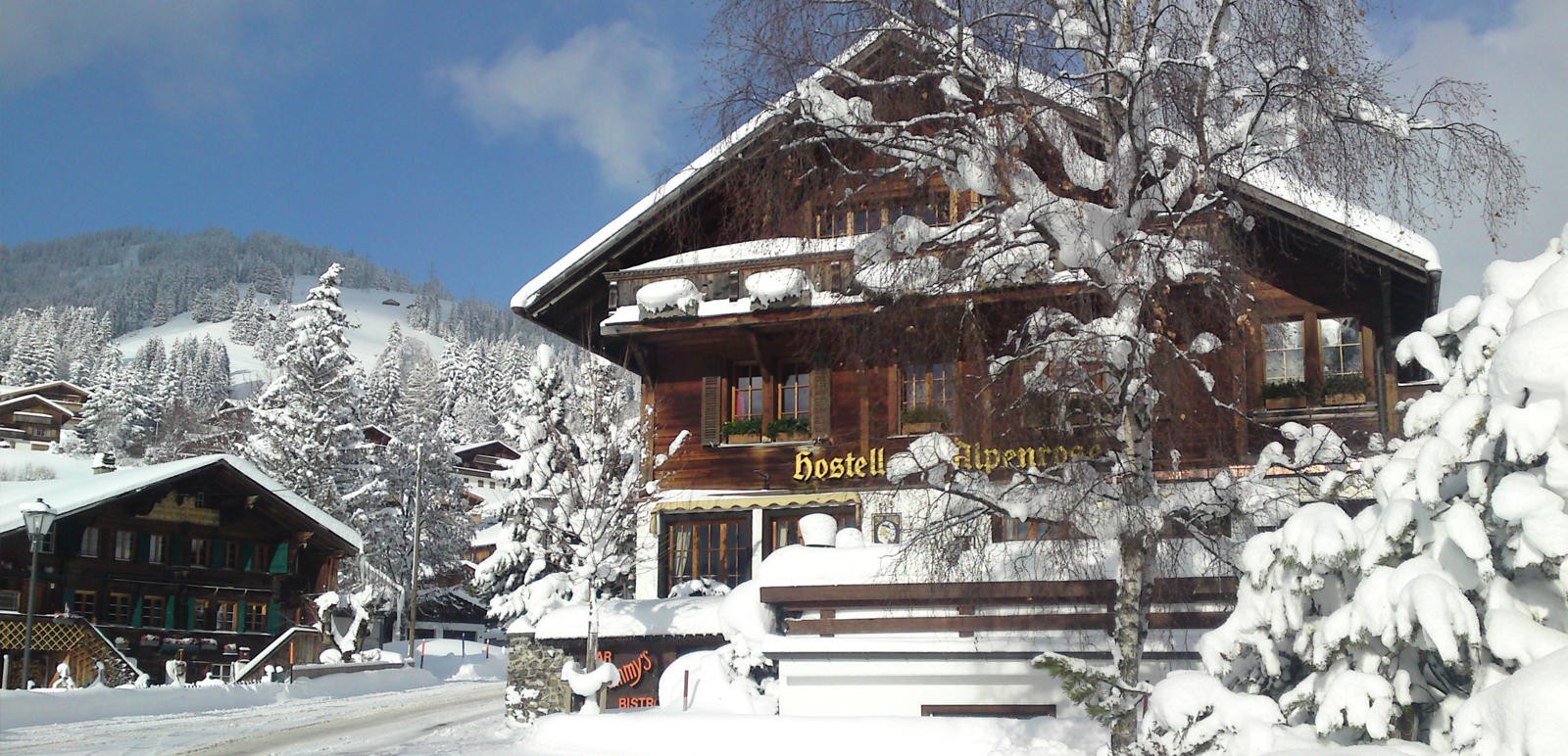 Azalee in Schönried, Foto 5