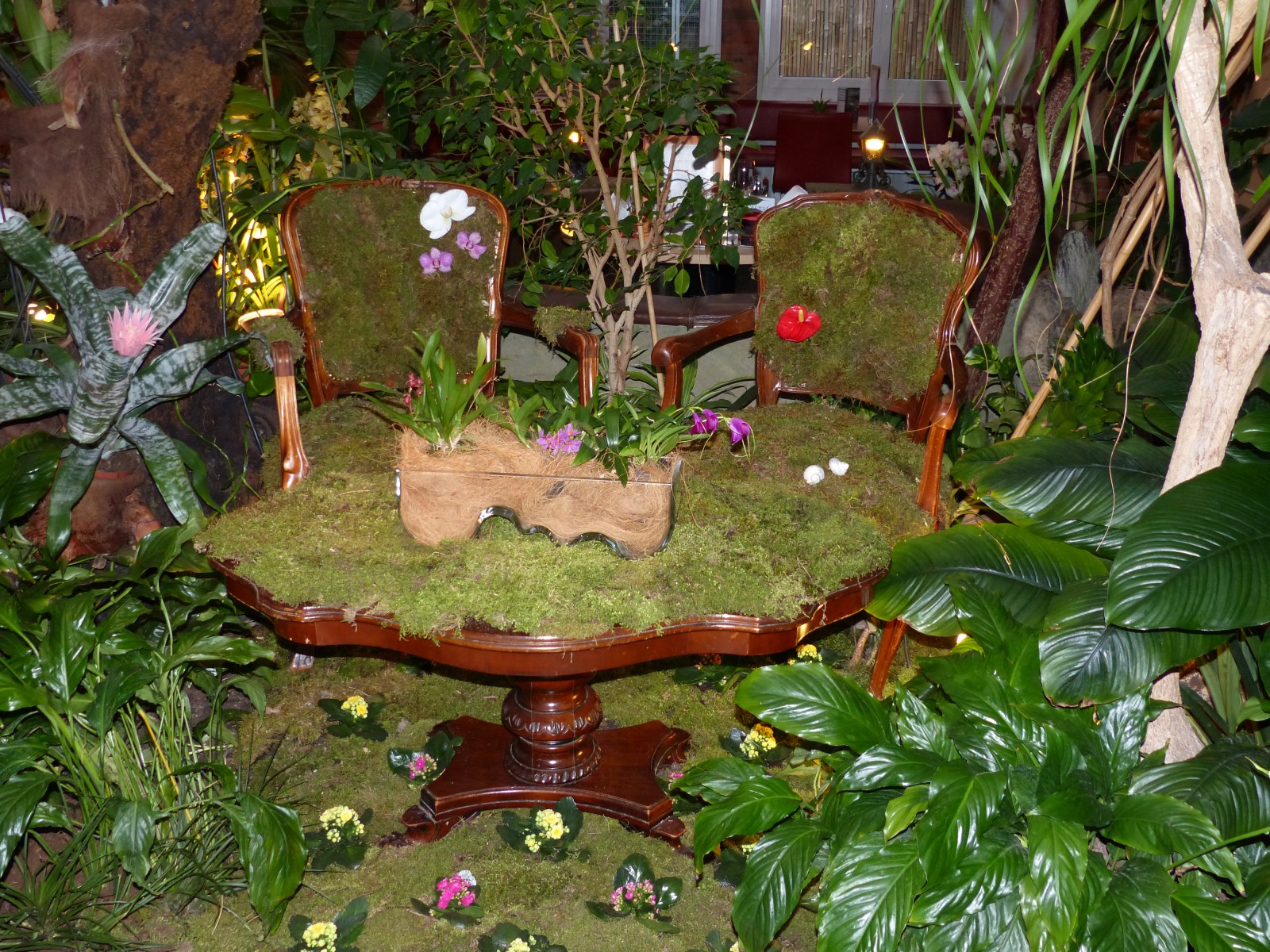 Tropepflanzen Restaurant Florida in Studen, Foto 2