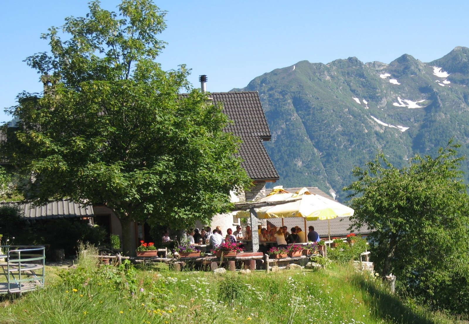 Restaurant Alla Capanna Monte Comino in Verdasio