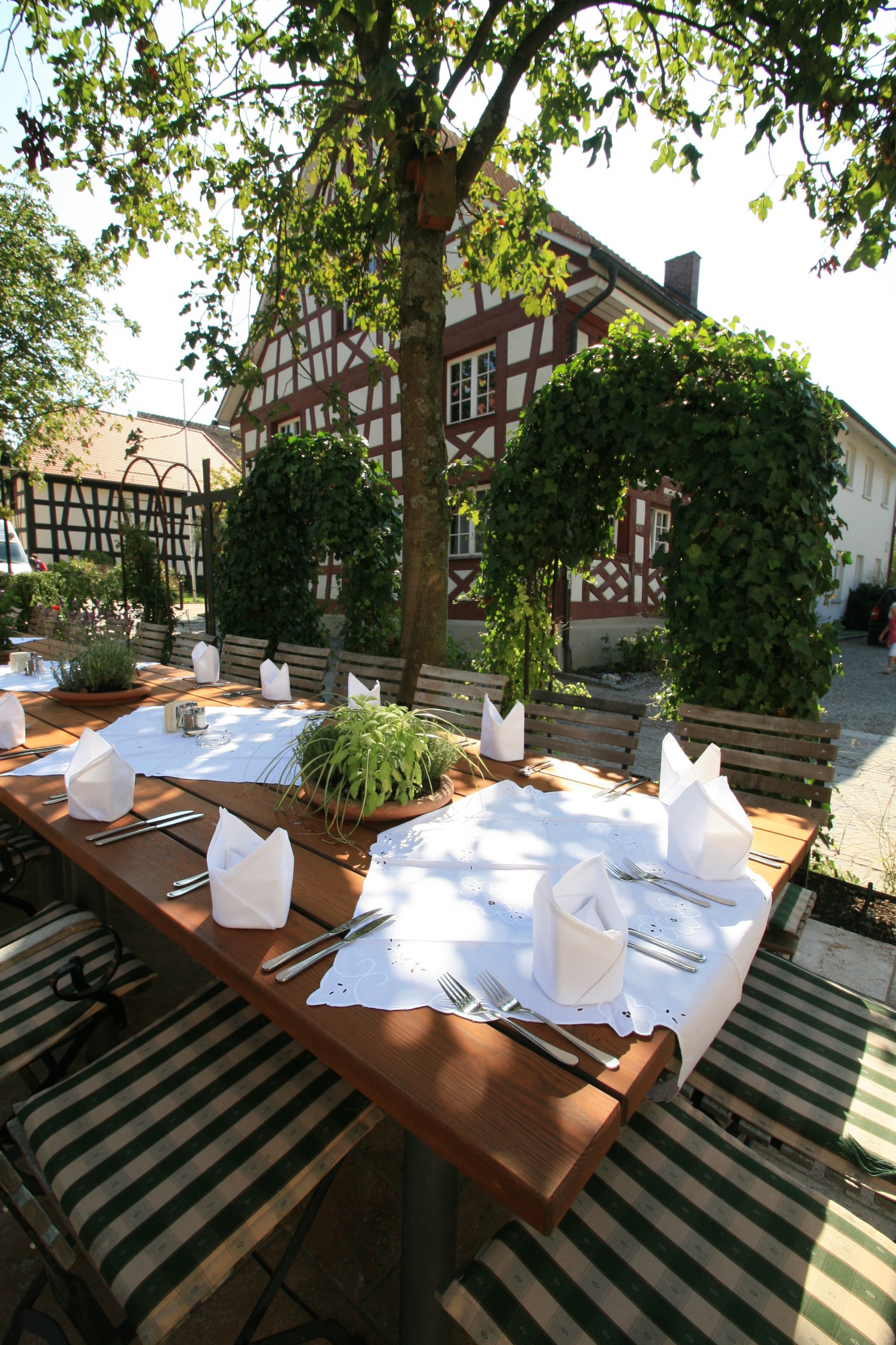Restaurant Hirschen in Gaienhofen Horn