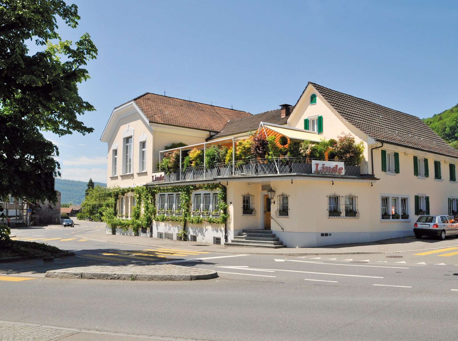 Linde Weiningen in Weiningen, Foto 2