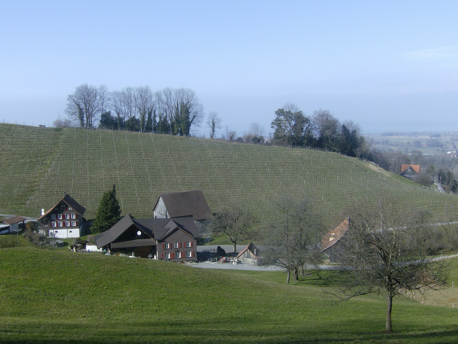 Rössli Romenschwanden in St. Margrethen, Foto 2