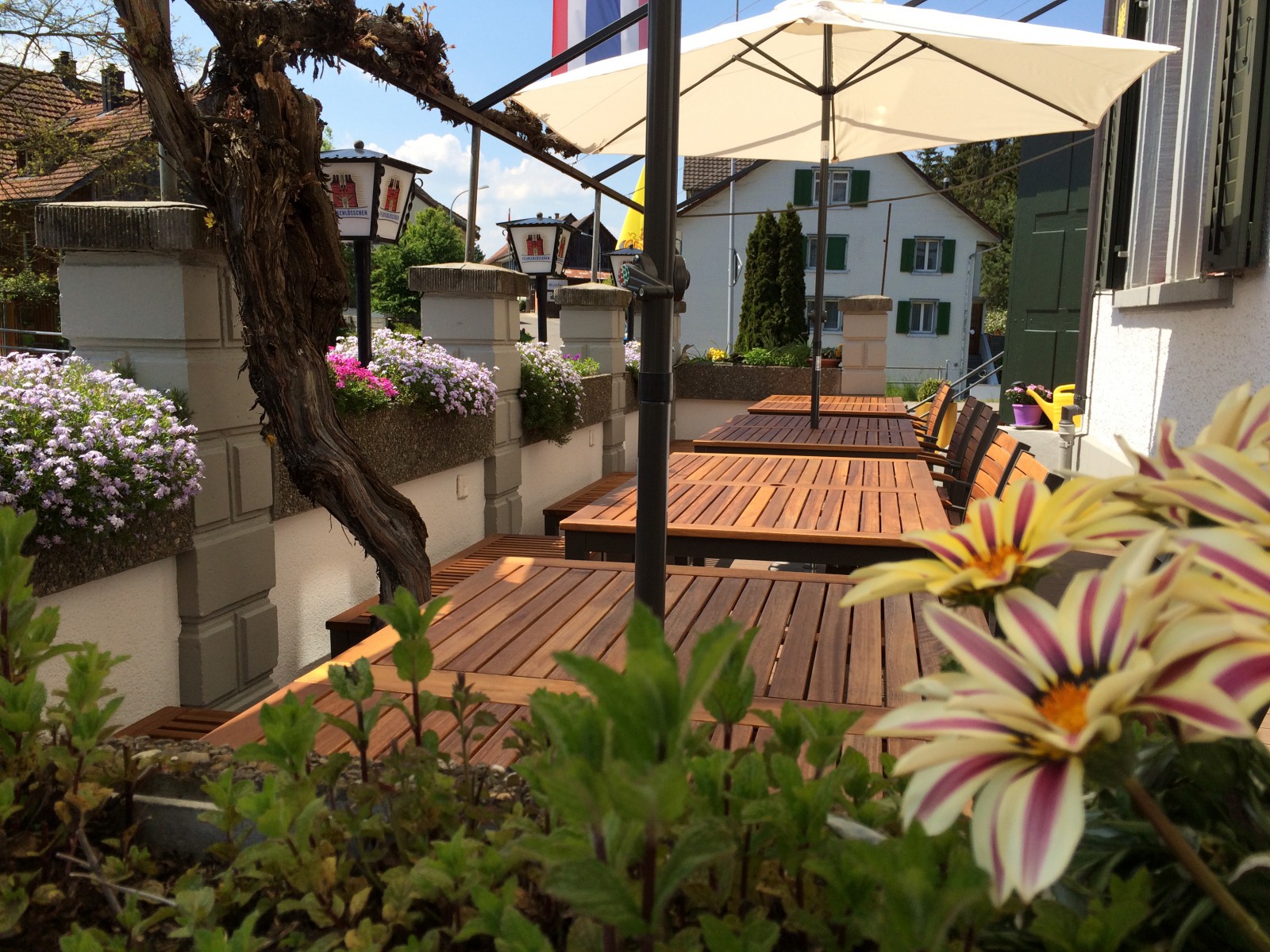Restaurant Thai Orchidee in Bronschhofen, Foto 4