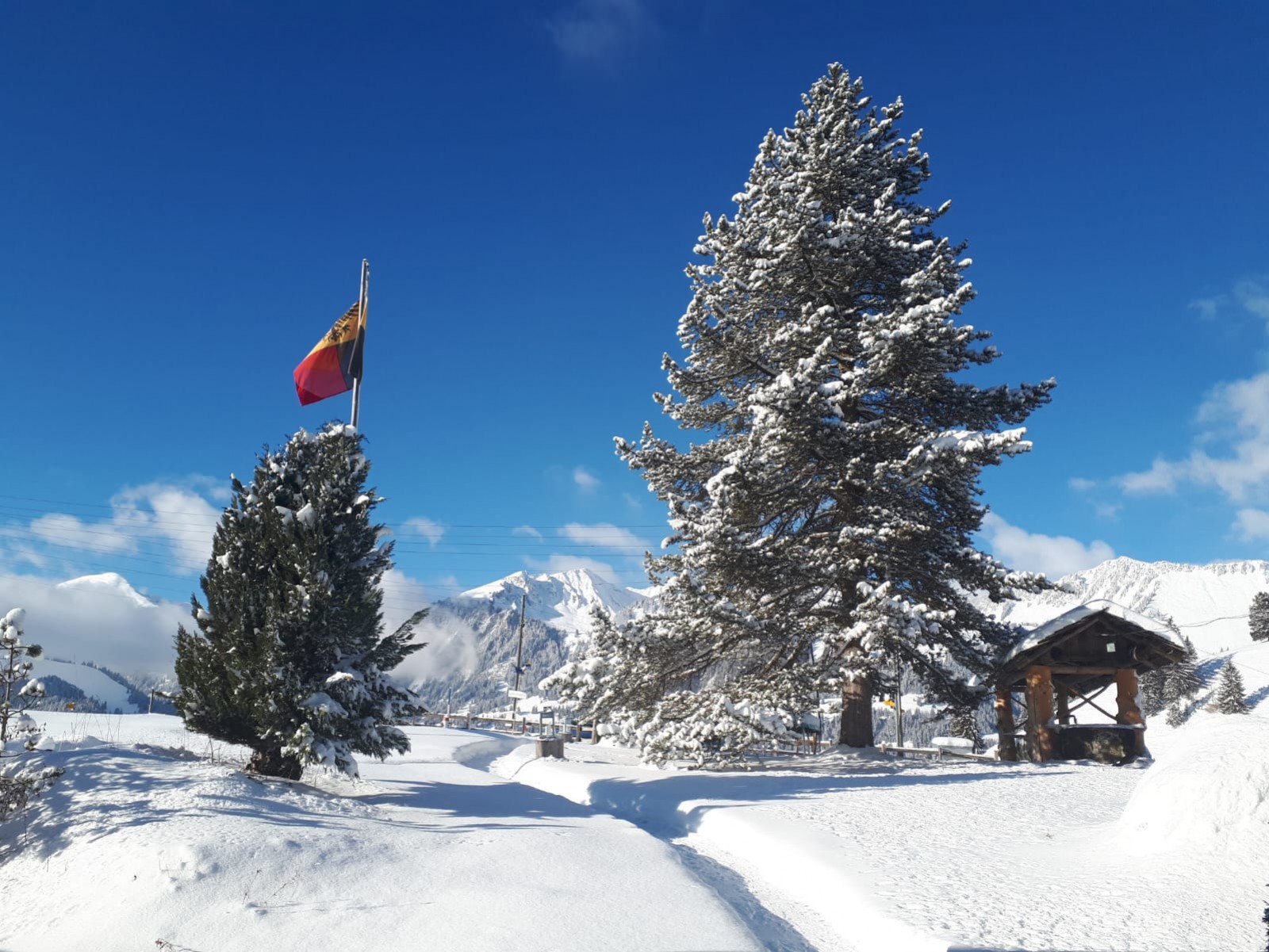 GASTHAUS ROSSBERG in Oberwil im Simmental, Foto 2
