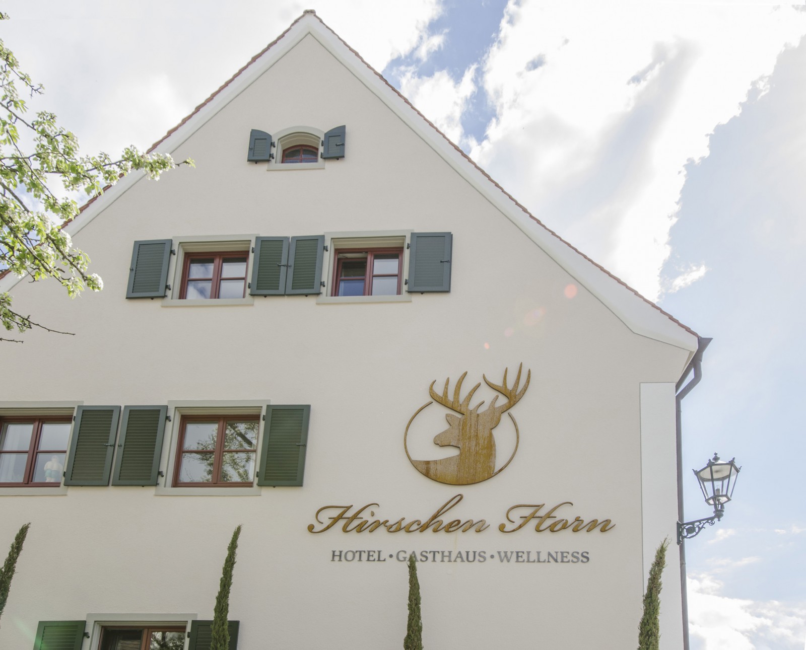 Hirschen in Gaienhofen Horn, Foto 10