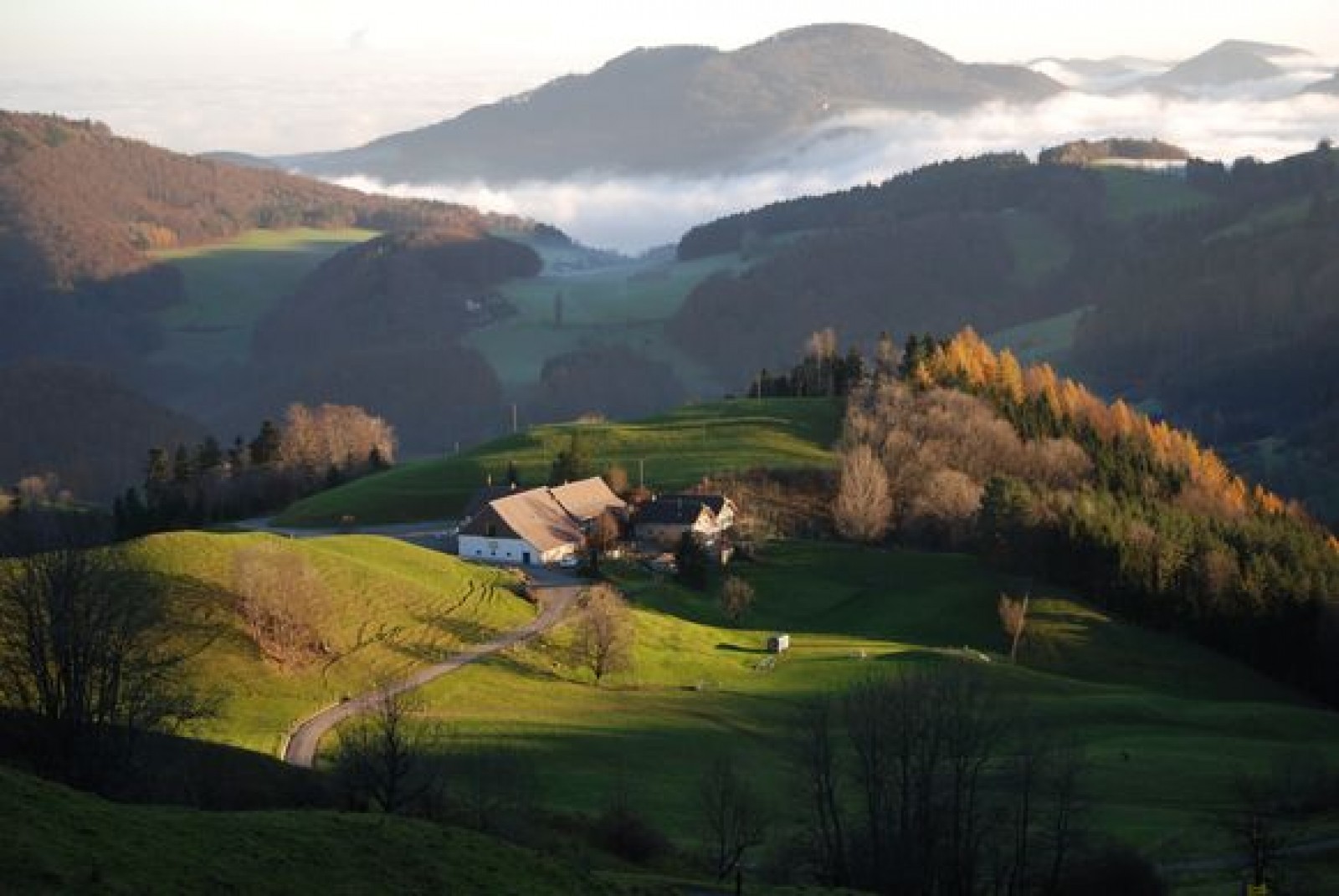 Berghaus Oberbölchen in Eptingen, Foto 5