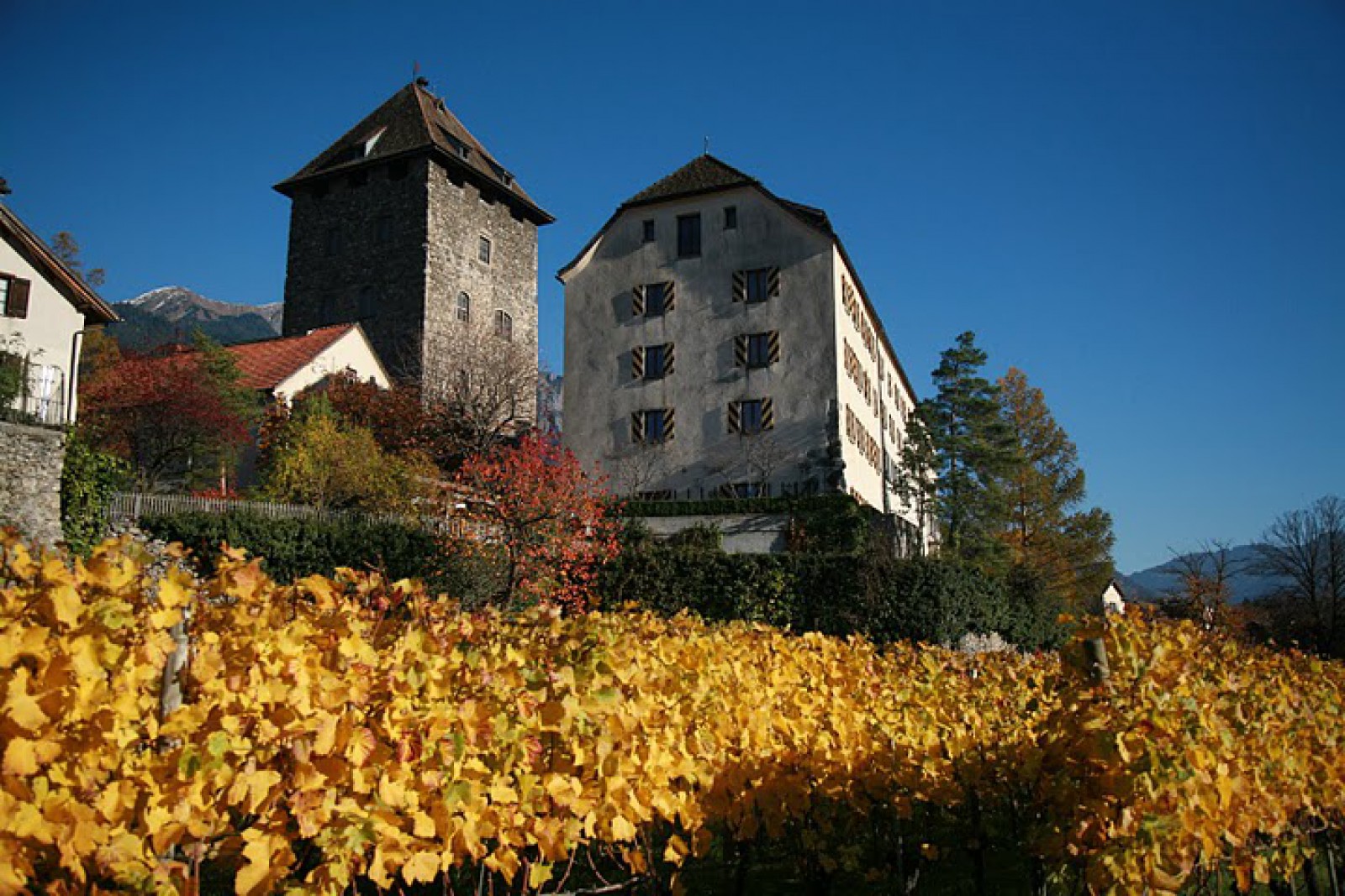 Schloss Brandis in Maienfeld, Foto 8