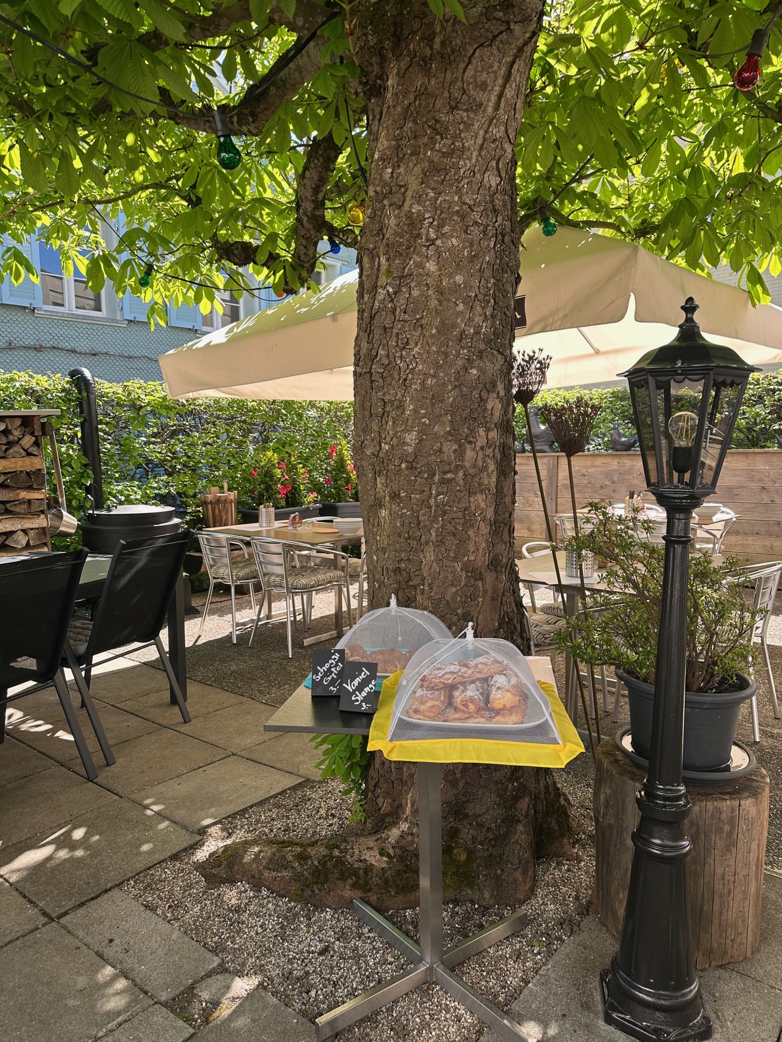 Restaurant Traube St.Gallen in St.Gallen, Foto 6
