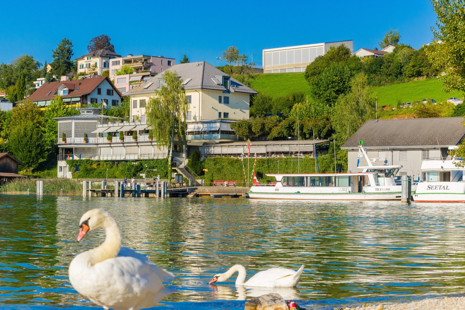 Restaurant Seehotel Delphin in Meisterschwanden