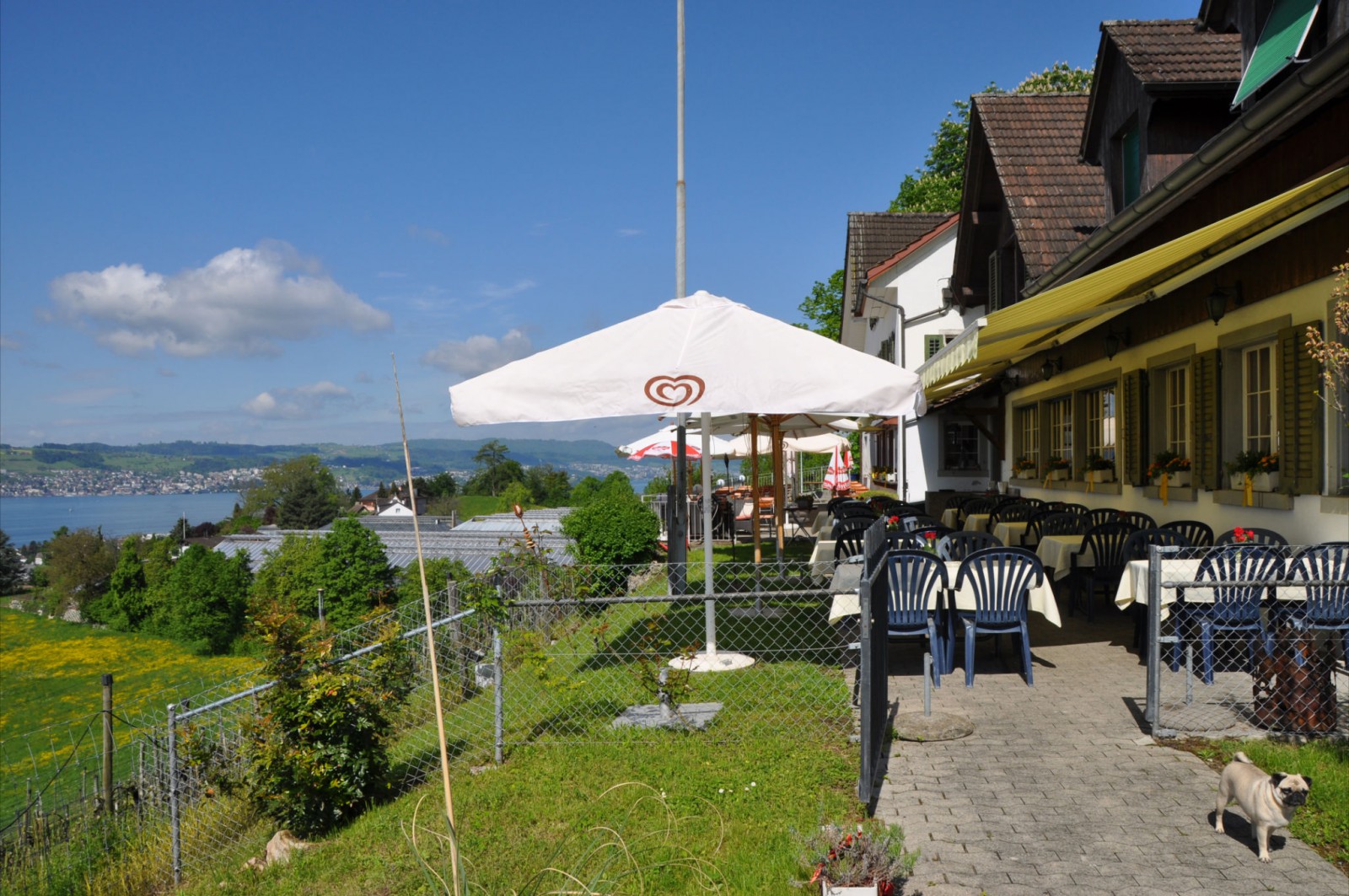 Restaurant Frohberg in Stafa