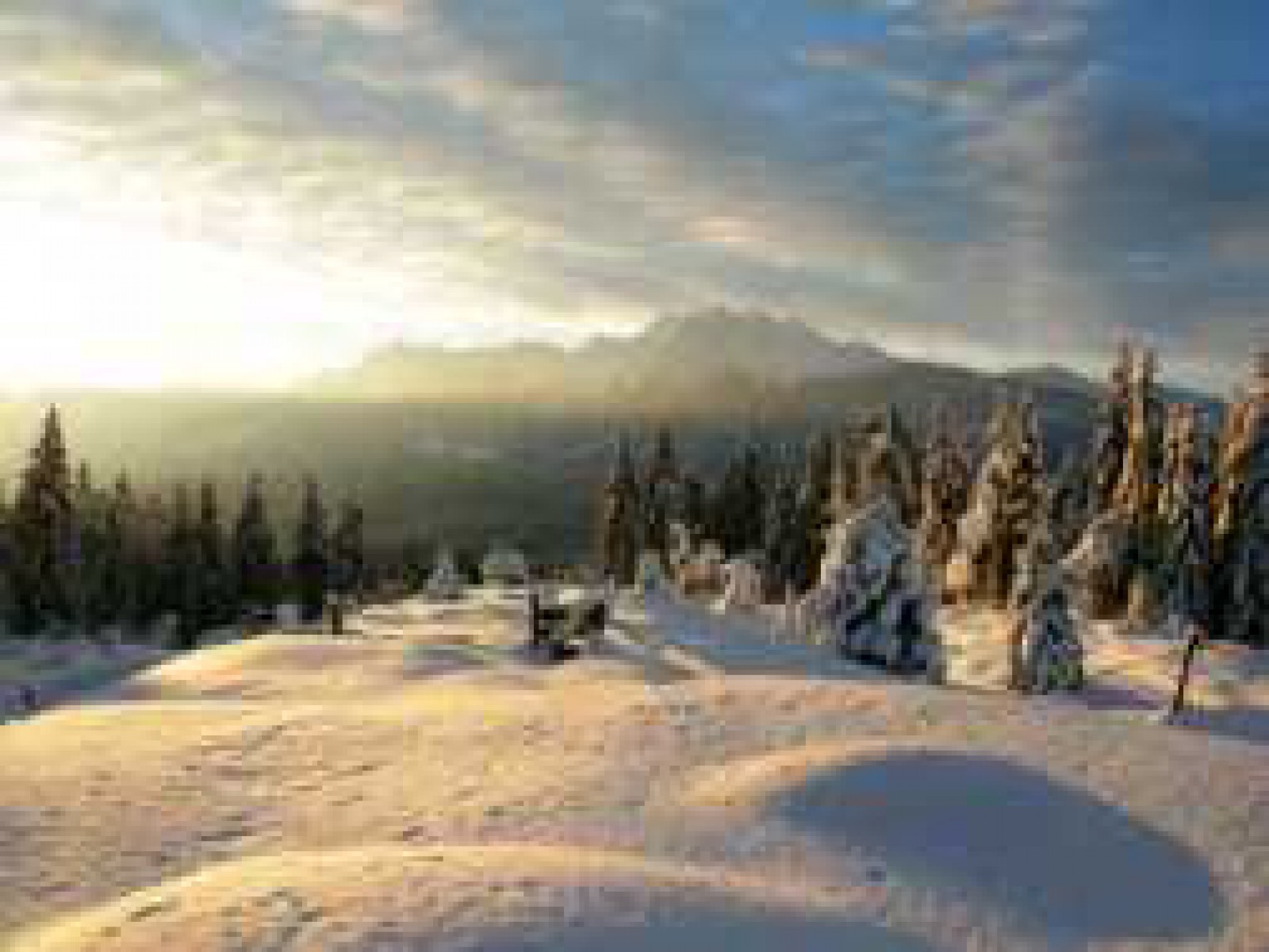 Restaurant Runca Hohe in Flims, Foto 1