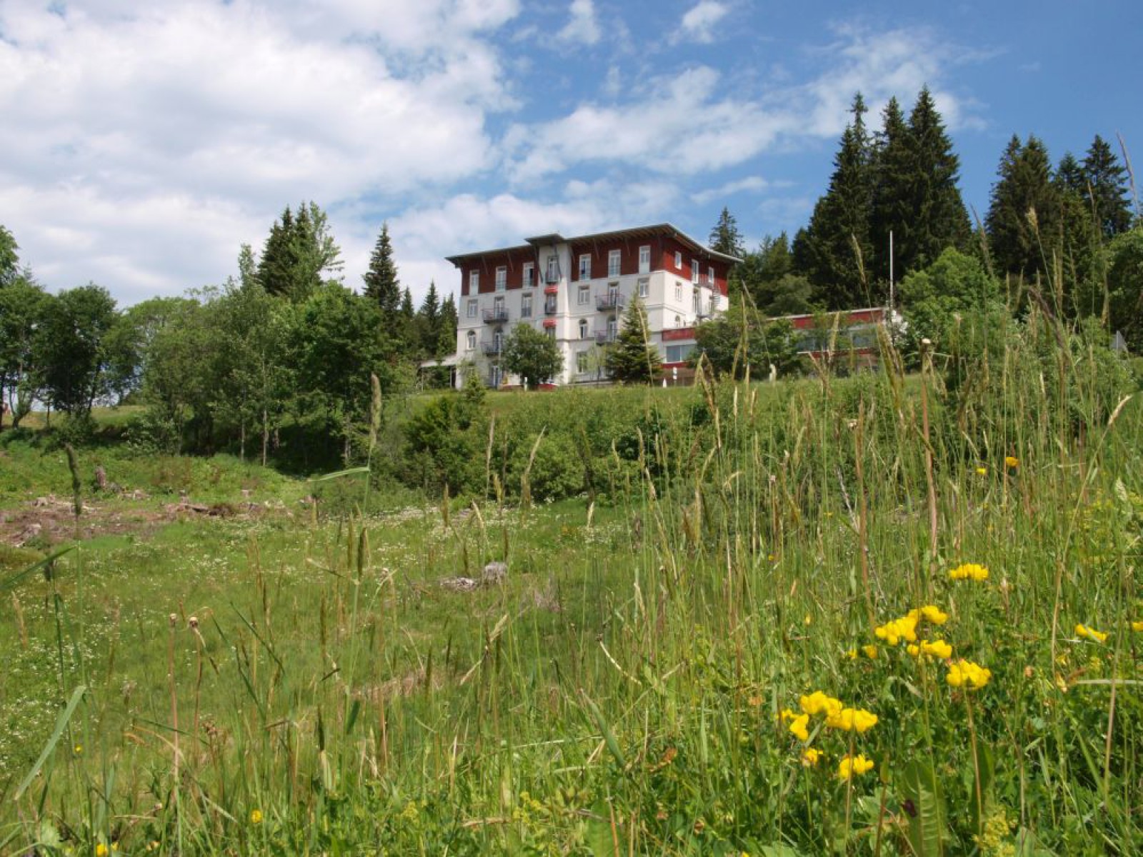 Naturparkwirt Restaurant Waldhotel am Notschreipass in Todtnau, Foto 1