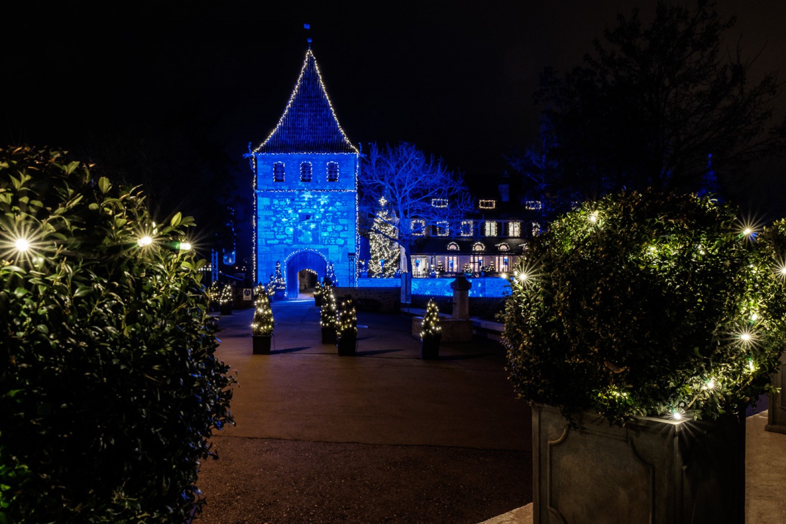 Schloss Laufen am Rheinfall in Dachsen, Foto 2