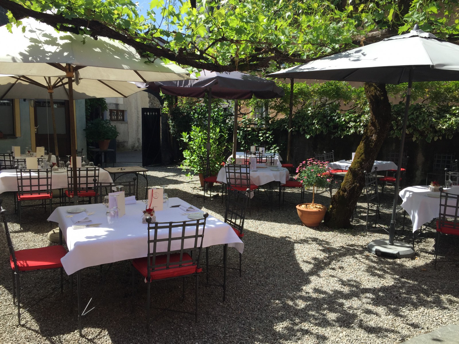 Osteria dell Enoteca in Losone, Foto 1