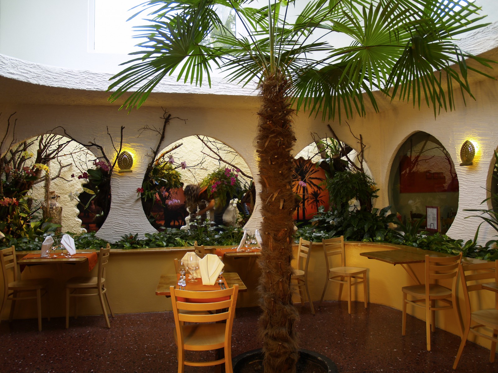 Tropepflanzen Restaurant Florida in Studen, Foto 38
