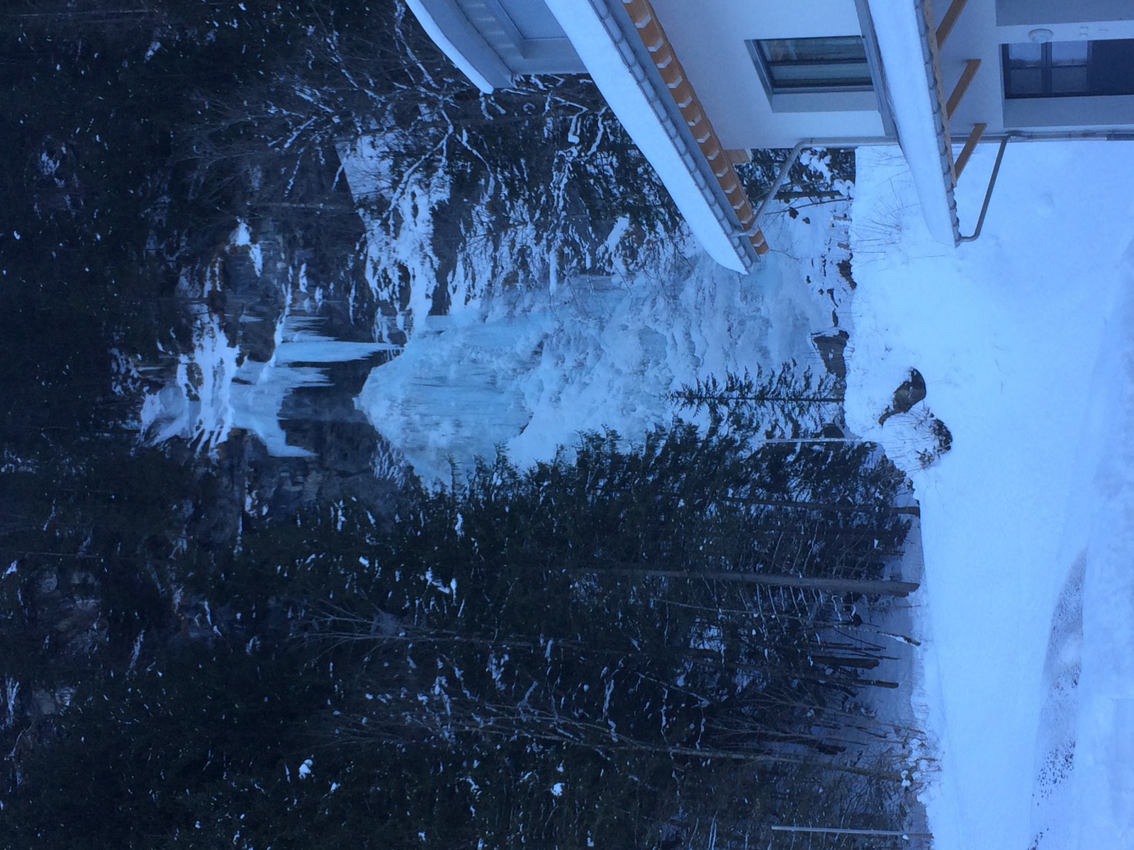 Restaurant Wasserfall in Engelberg, Foto 6