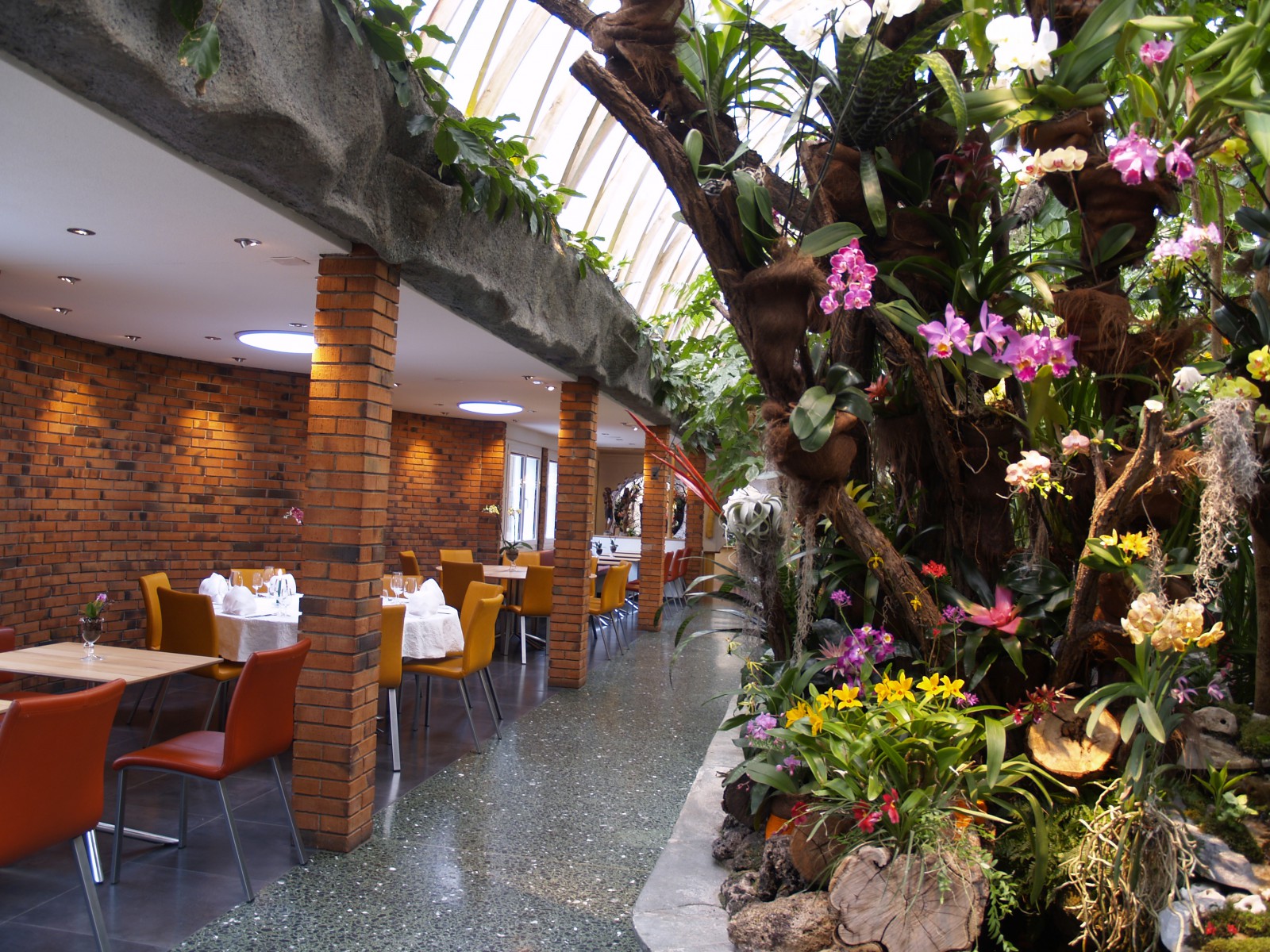 Tropepflanzen Restaurant Florida in Studen, Foto 35