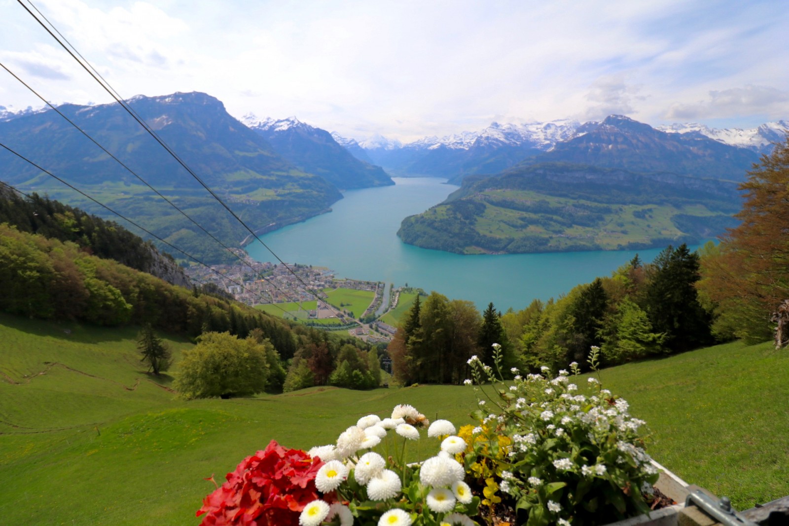 Restaurant Bergrestaurant Timpelweid in Brunnen