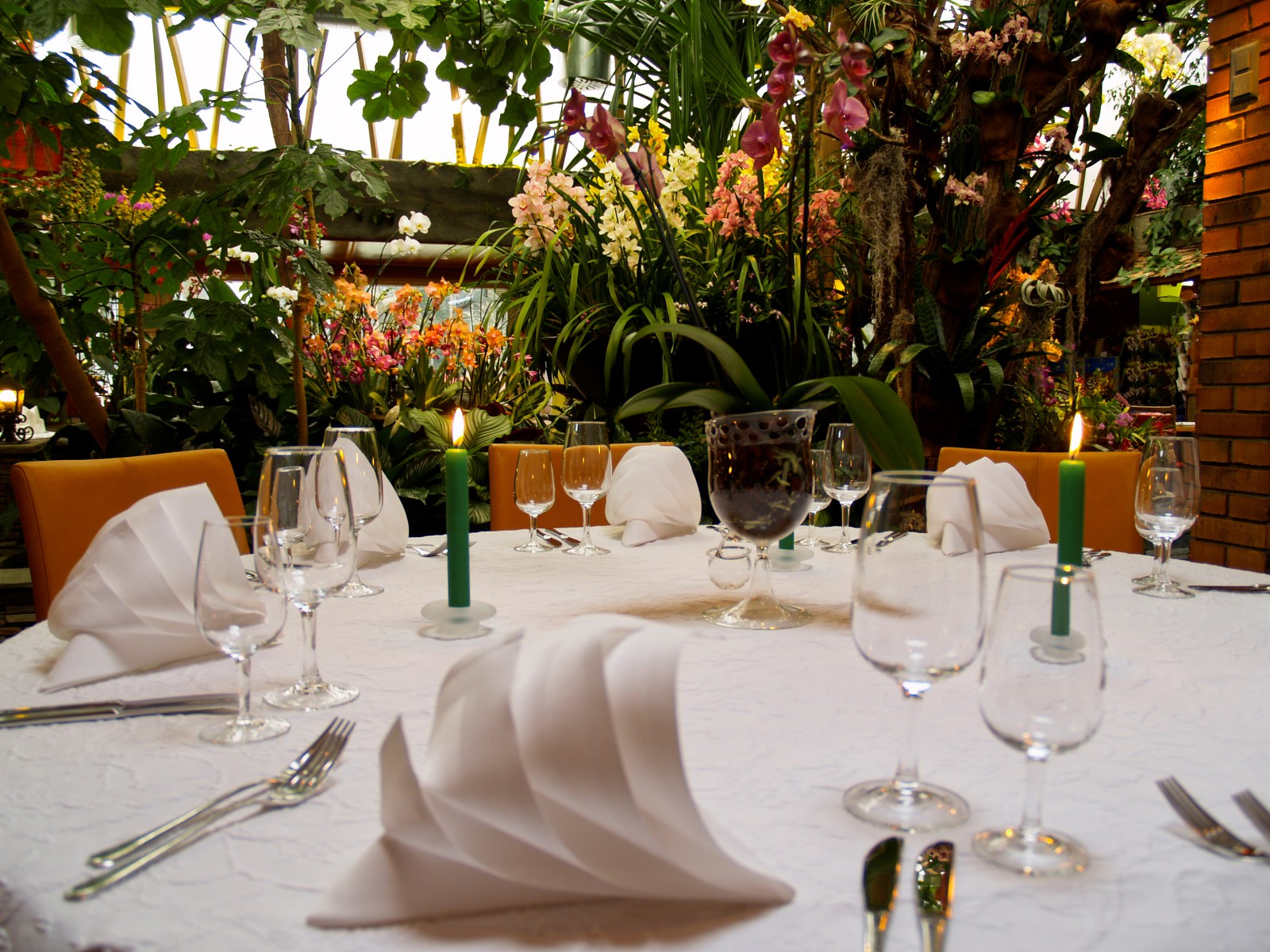 Tropepflanzen Restaurant Florida in Studen, Foto 34