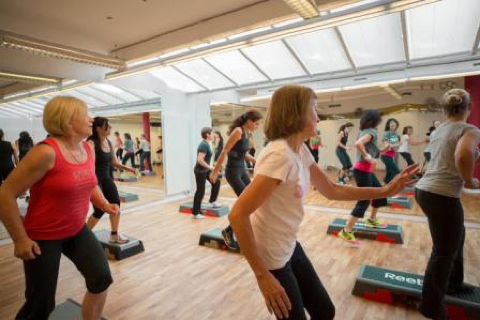 Tropepflanzen Restaurant Florida in Studen, Foto 23