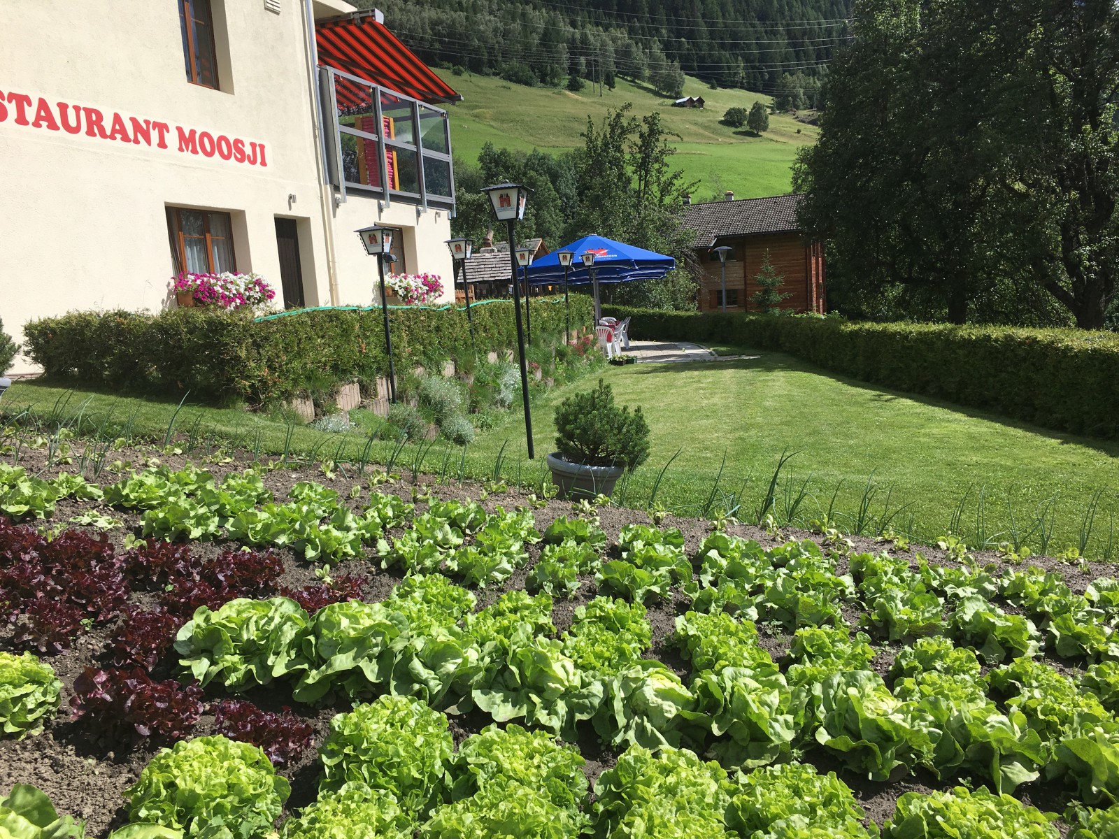 Hotel Mühlebach - Restaurant Moosji in Ernen, Foto 2