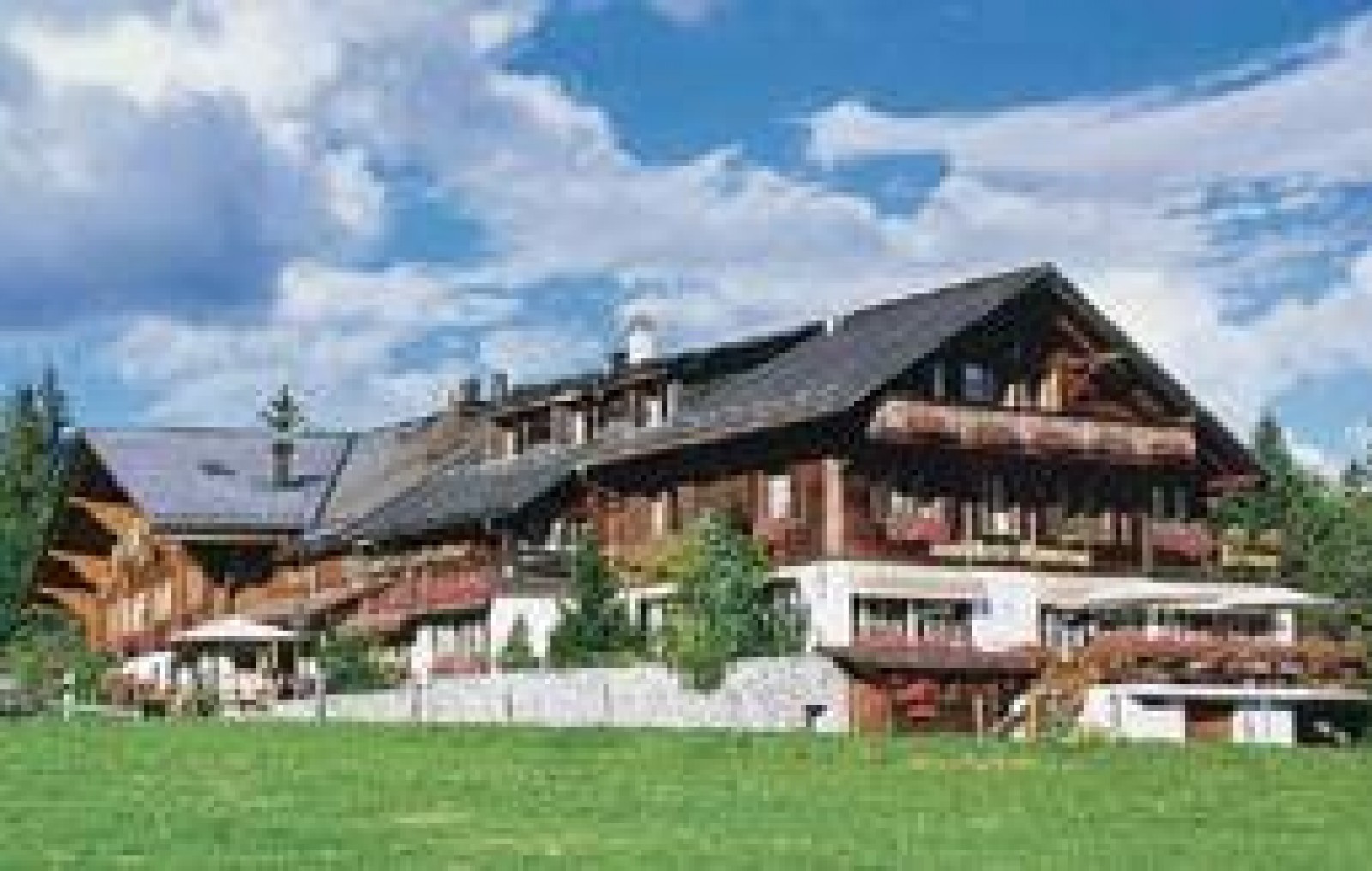 Azalee in Schönried, Foto 4