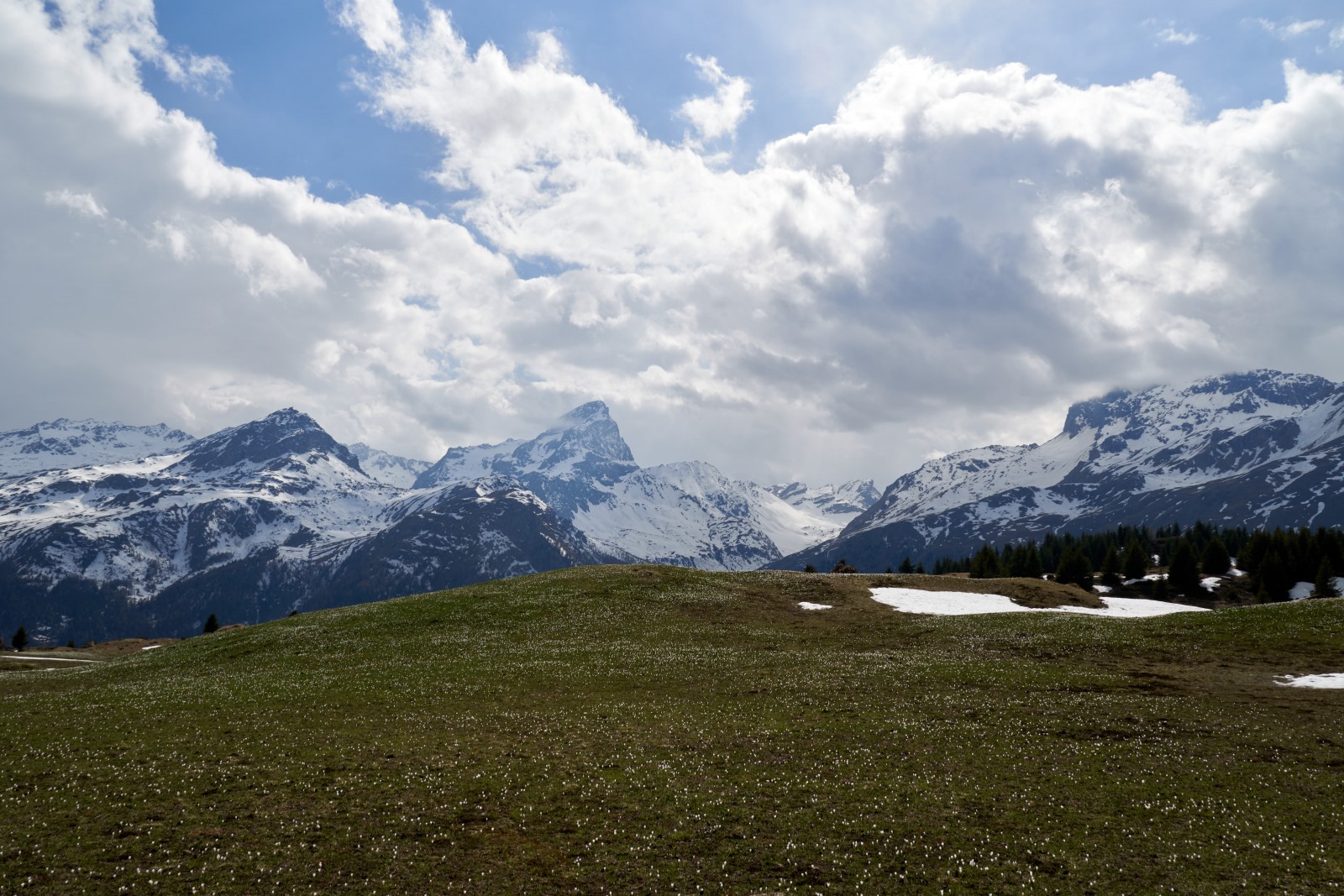 Berghaus Piz Platta (Alp Flix) in Sur, Foto 2