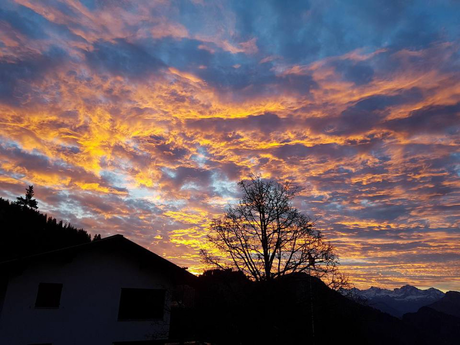 Restaurant Alpina in Rigi Kaltbad, Foto 6
