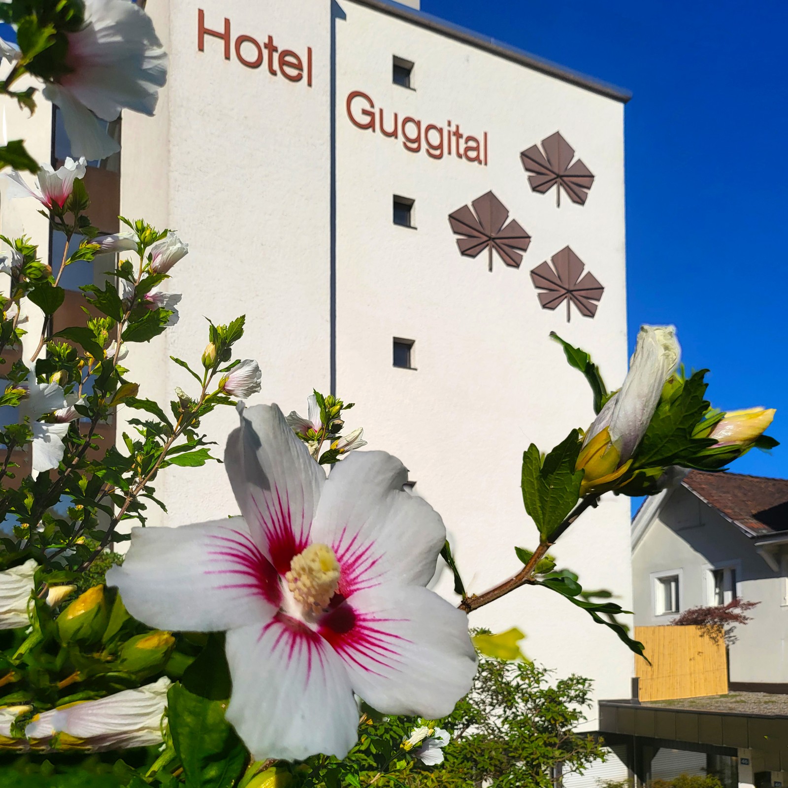 Guggital Restaurant Hotel Catering in Zug, Foto 55