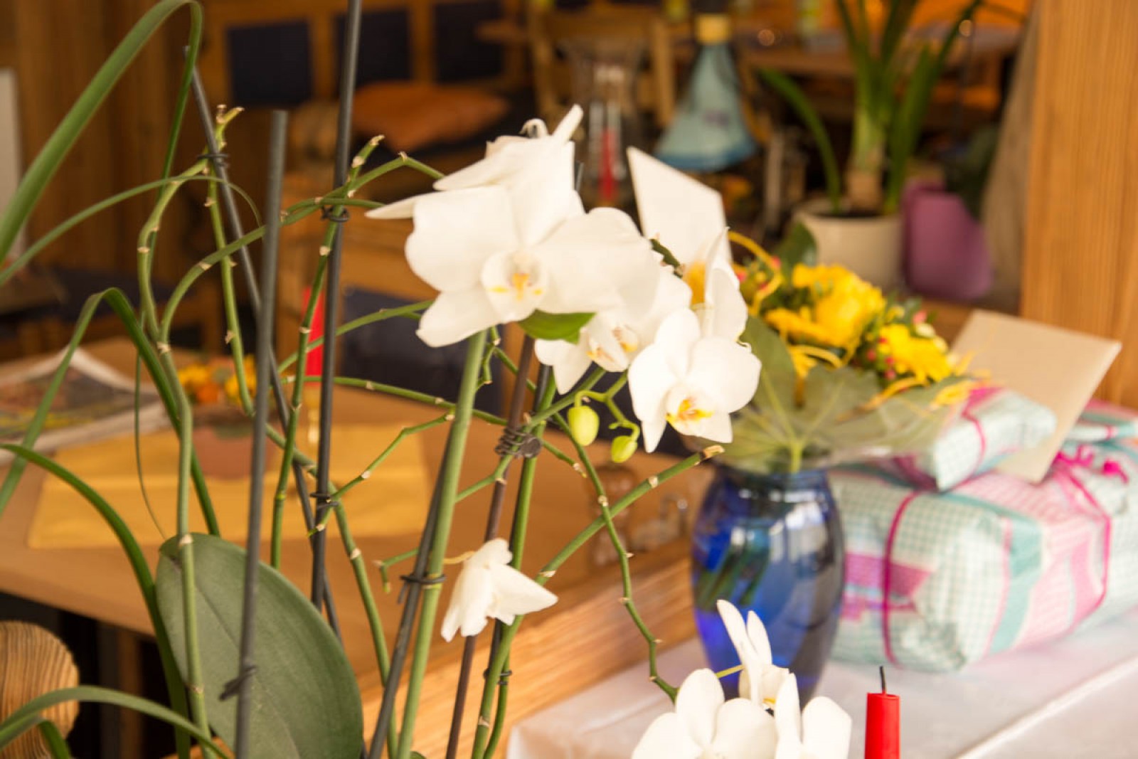 Restaurant Musfalle in Oberiberg, Foto 6