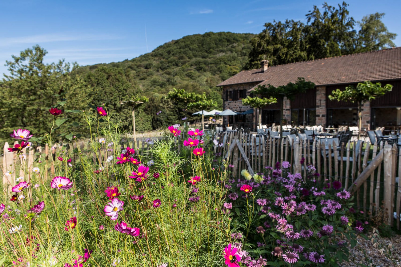 Ristorante Vicania in Vico Morcote, Foto 3