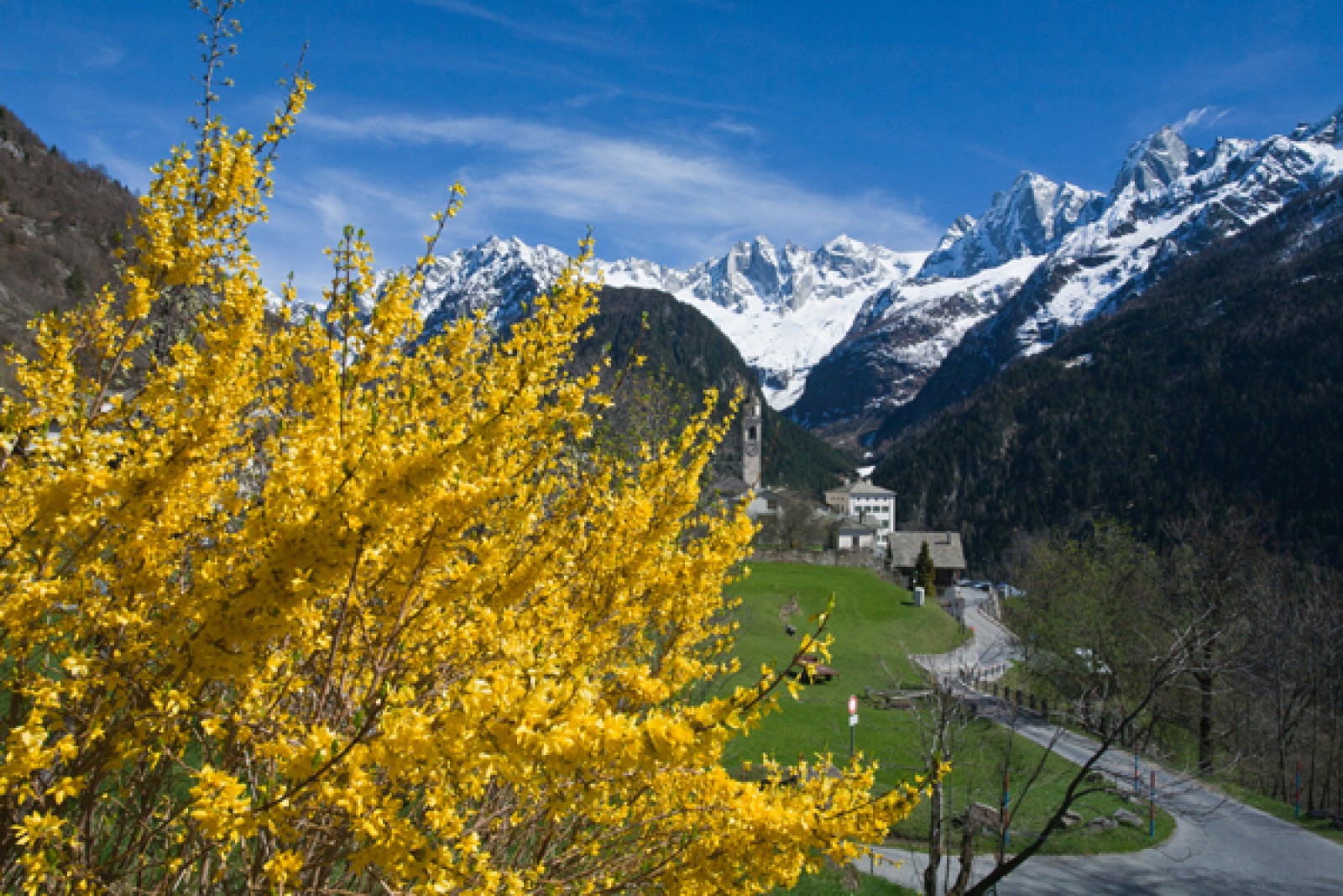 Stua Granda restaurant in Soglio, Foto 15