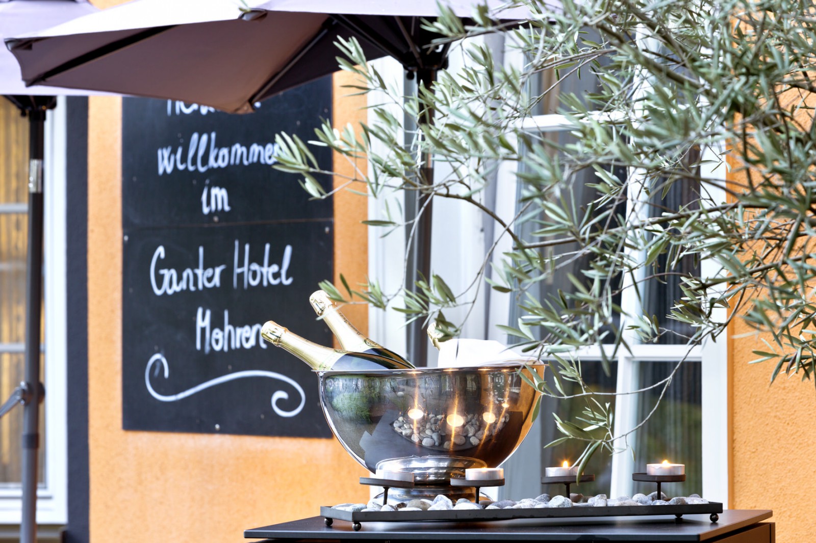 Mohren in Reichenau, Foto 6
