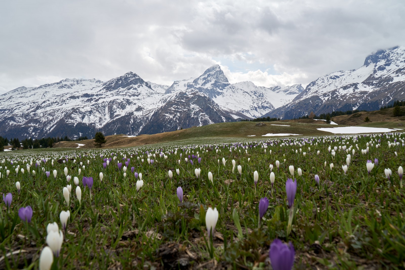 Berghaus Piz Platta (Alp Flix) in Sur, Foto 1