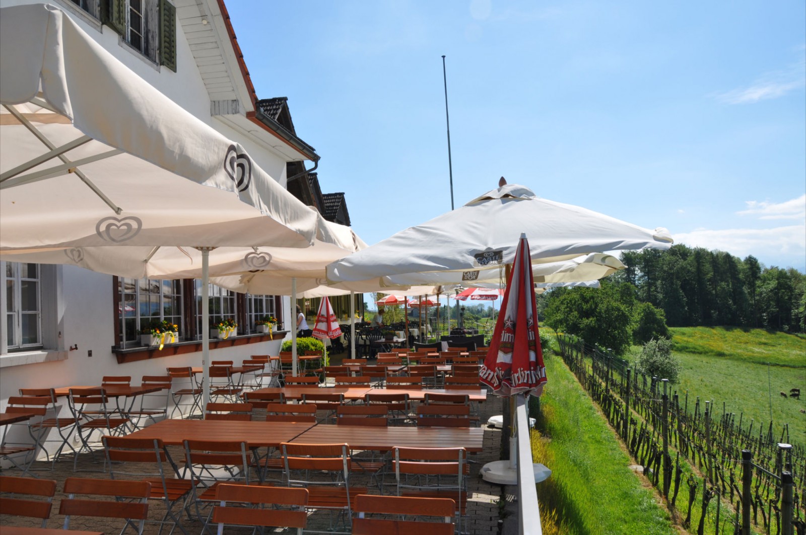 Restaurant Frohberg in Stafa, Foto 2