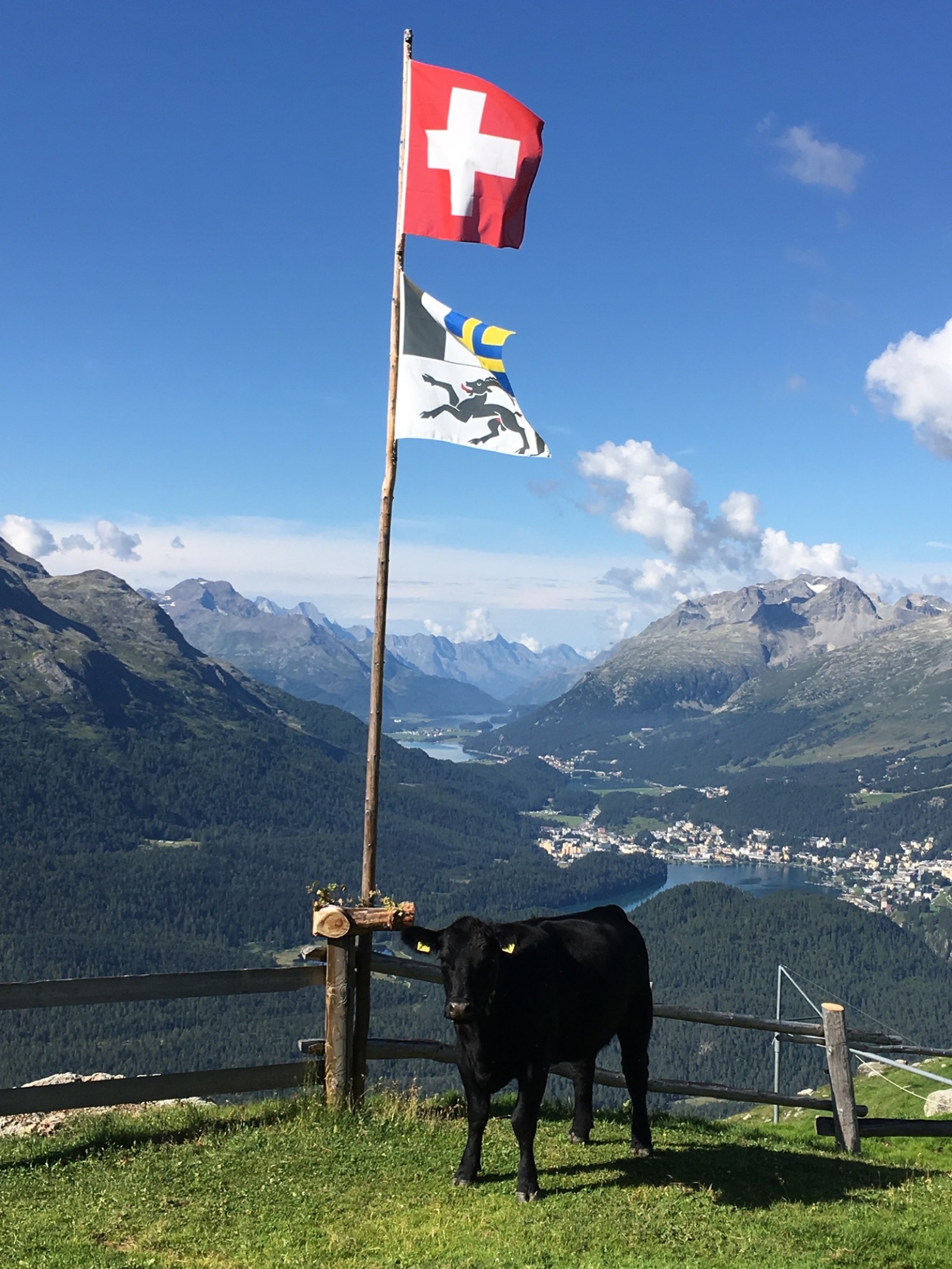 Alp Muottas  in Samedan , Foto 16