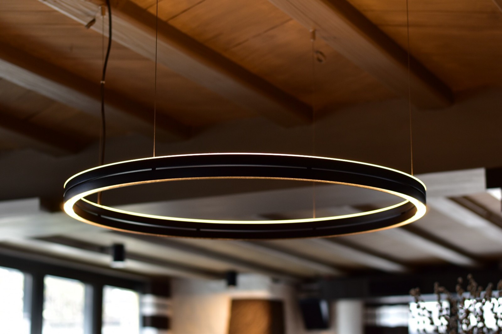 Schwan Hotel & Taverne in Horgen, Foto 4