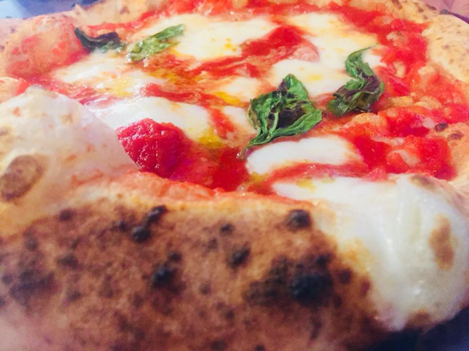 NA081 Ristorante & Pizzeria in Zürich, Foto 6