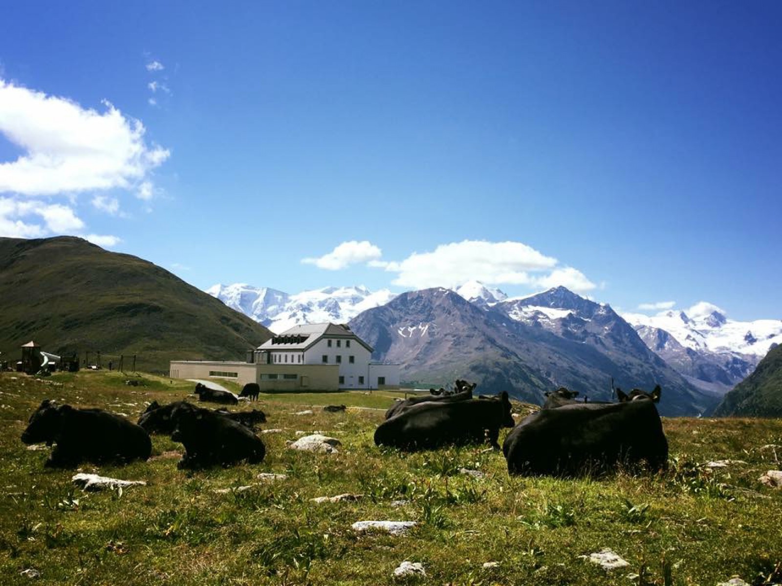 Alp Muottas  in Samedan , Foto 23