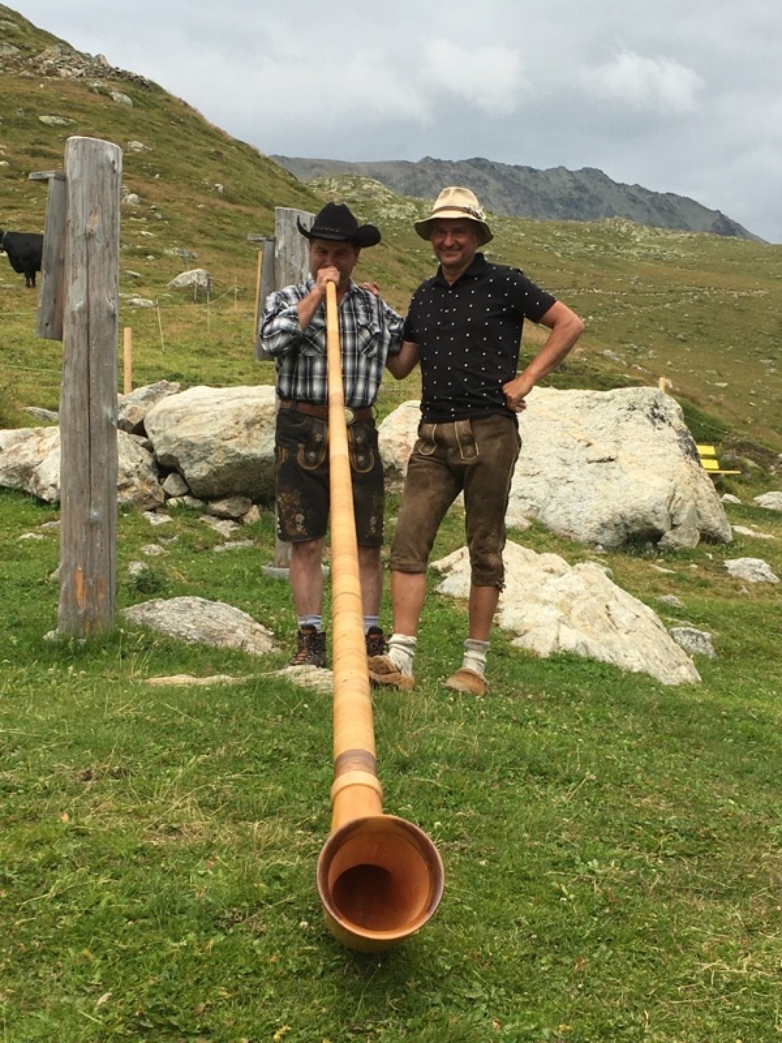 Alp Muottas  in Samedan , Foto 17