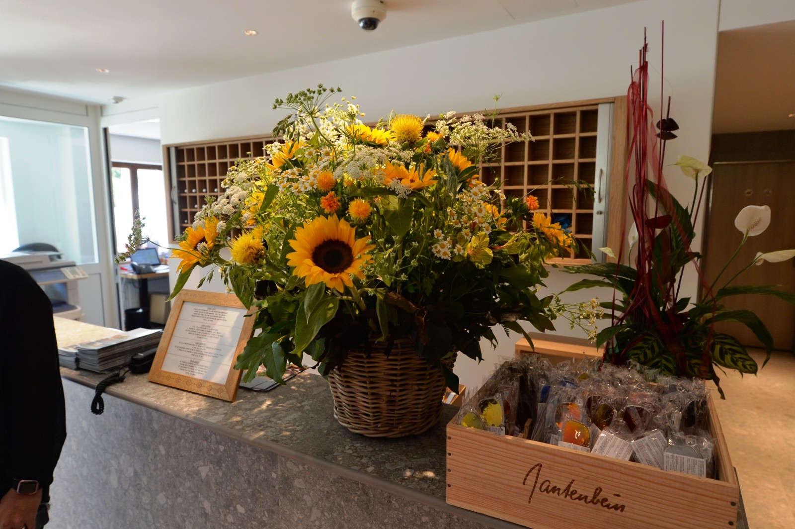Hotel Restaurant Pizzeria Sonne in St. Moritz, Foto 45