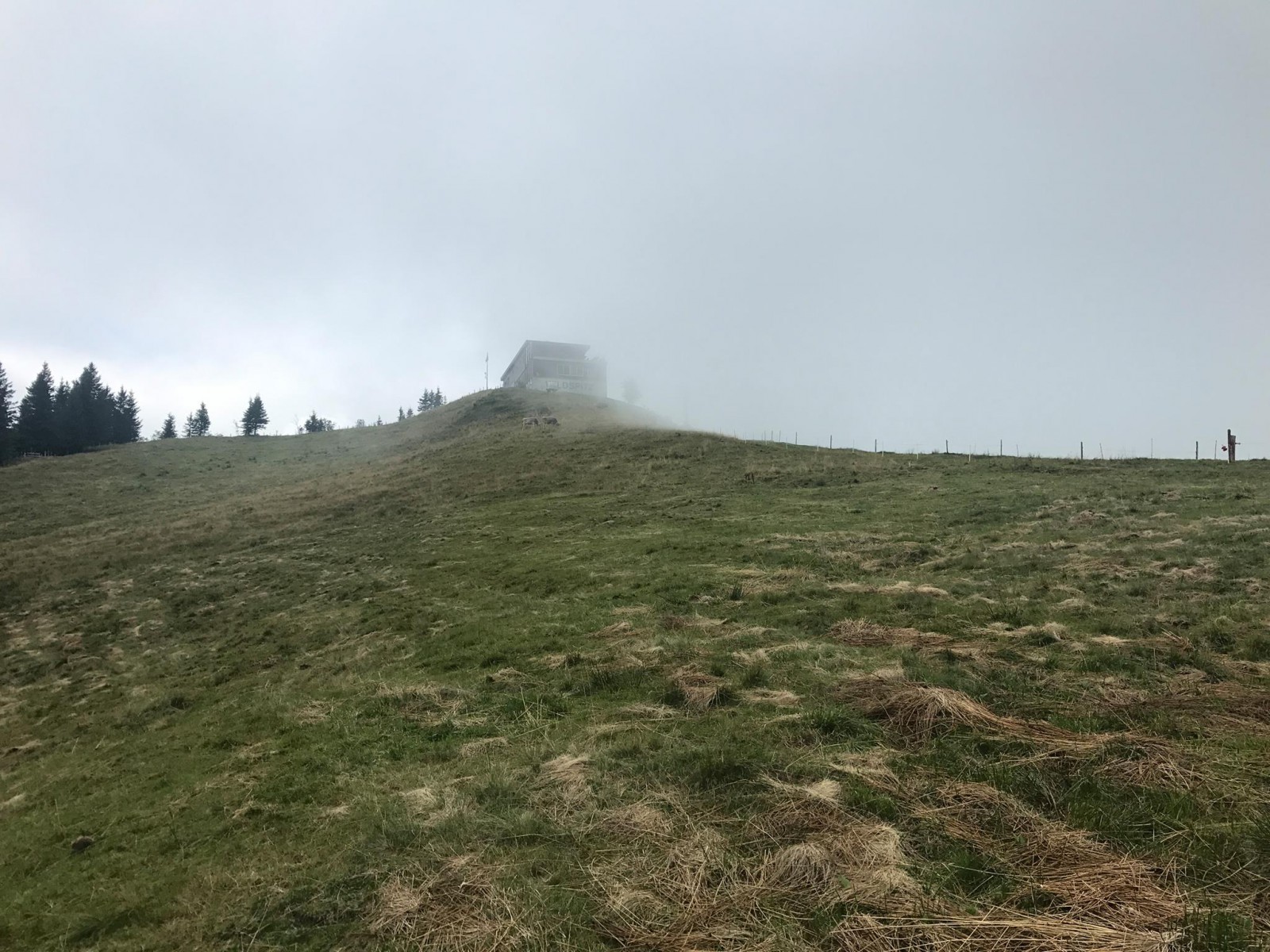 Bergrestaurant Wildspitz in Steinerberg, Foto 4