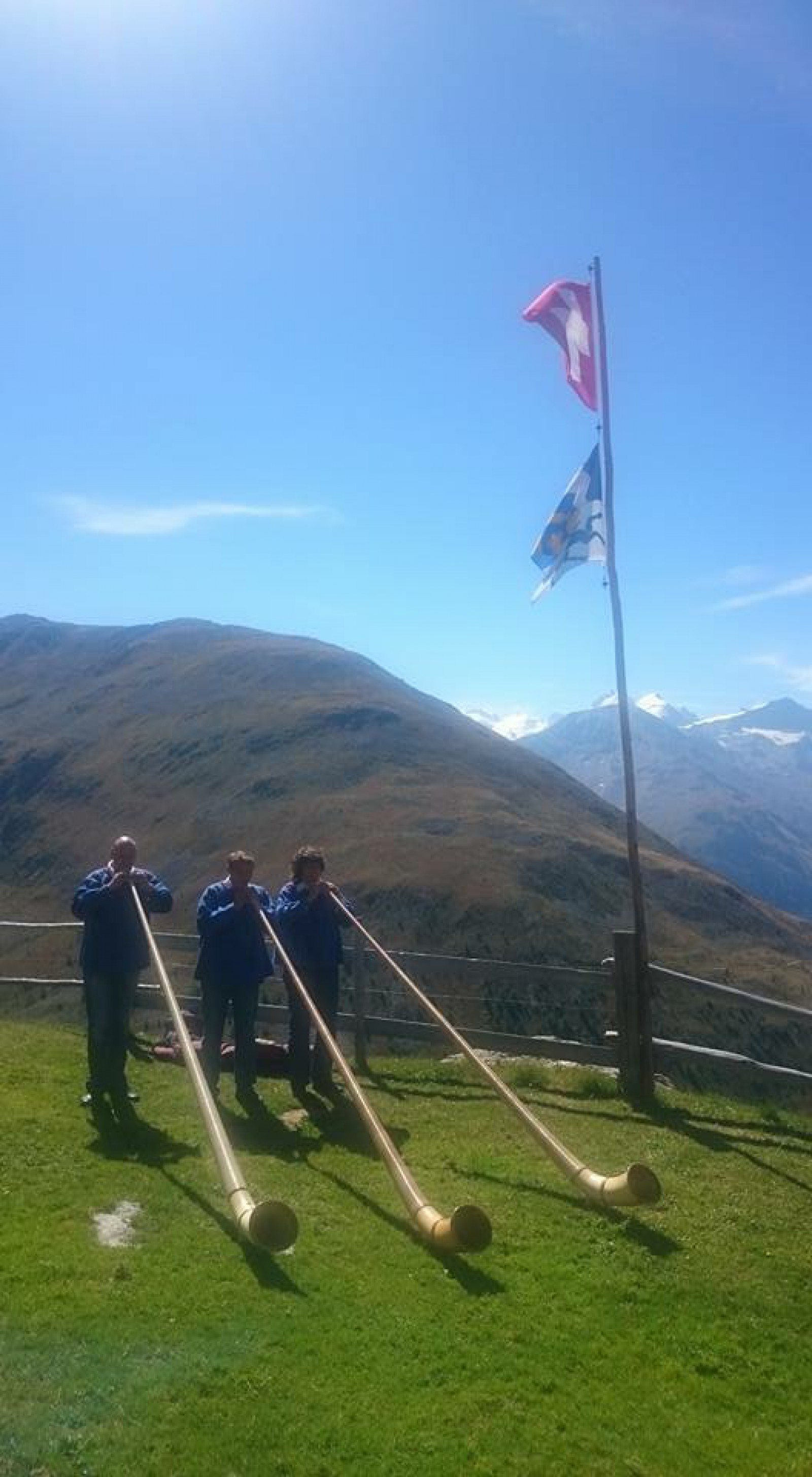 Alp Muottas  in Samedan , Foto 21