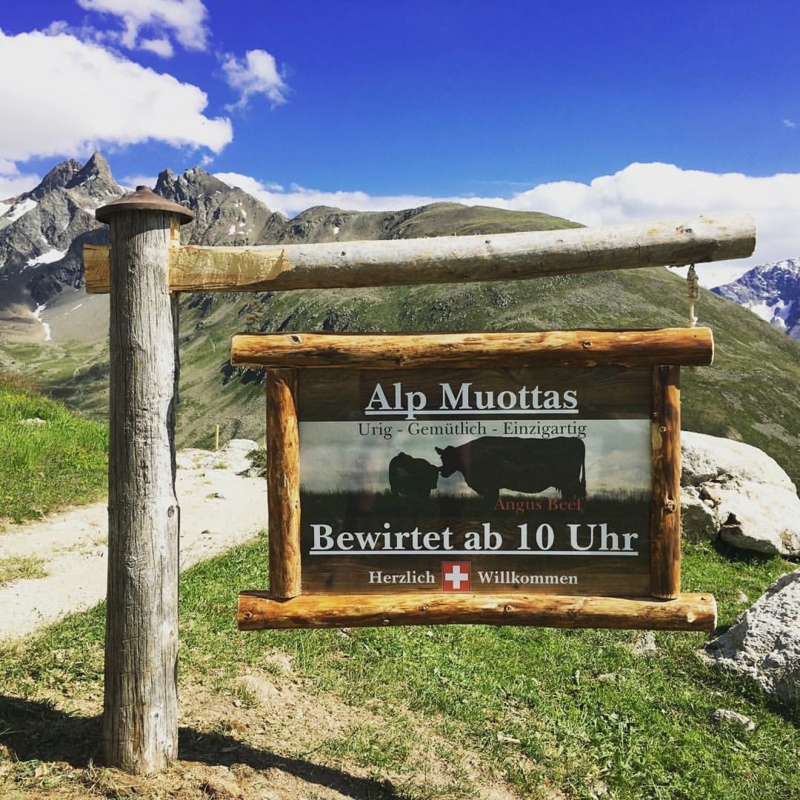 Alp Muottas  in Samedan , Foto 14