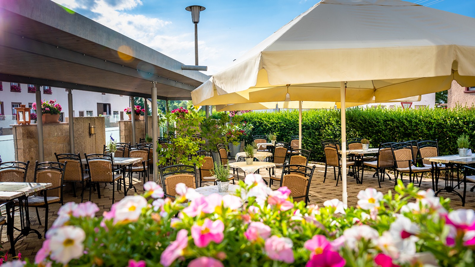 Hirschen in Hüfingen, Ortsteil Mundelfingen, Foto 16