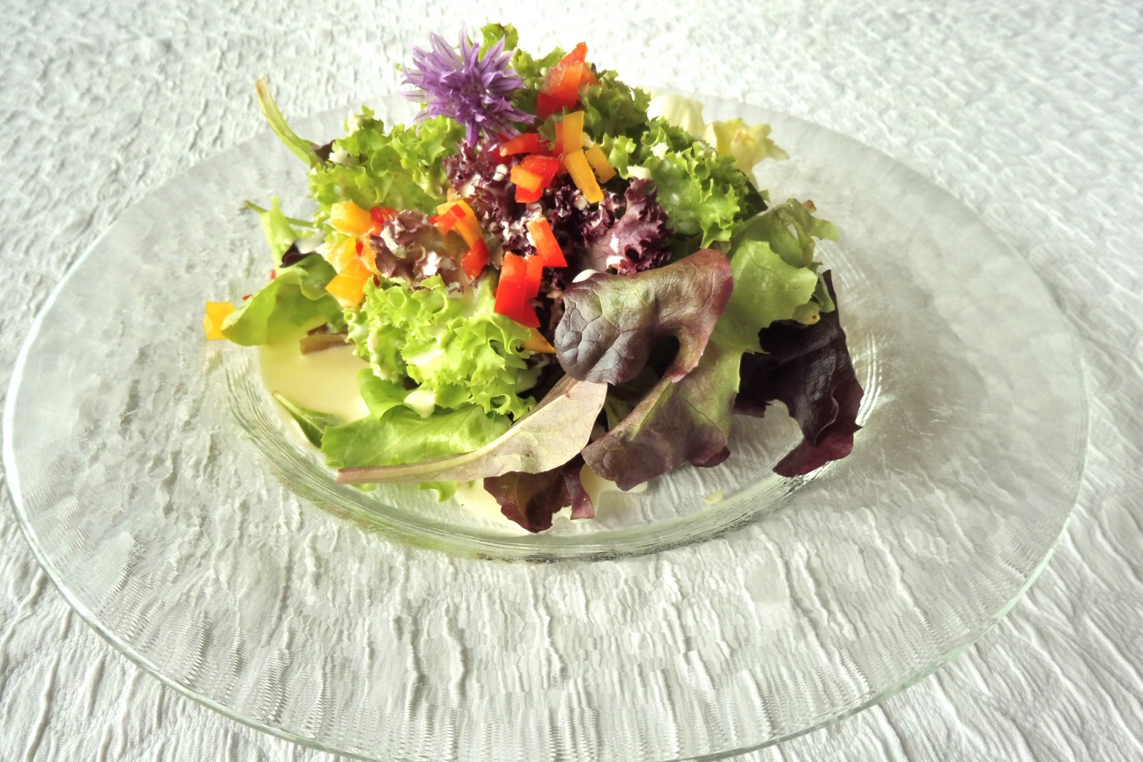 Alpenkräuter Restaurant Bären in Wengen, Foto 7