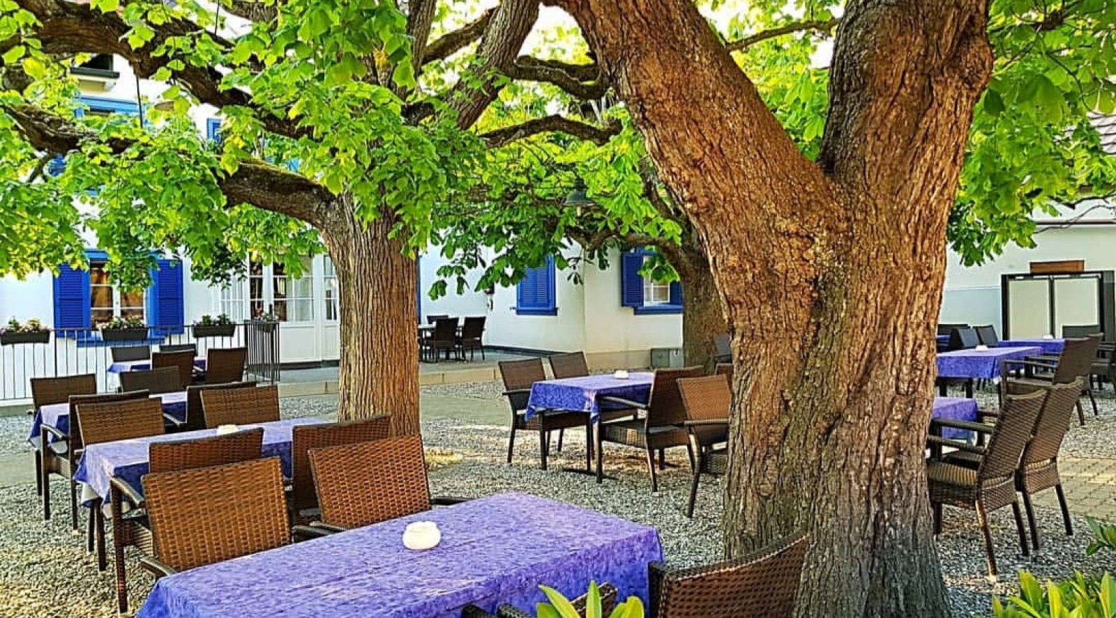Krone in Schonenbuch, Foto 12