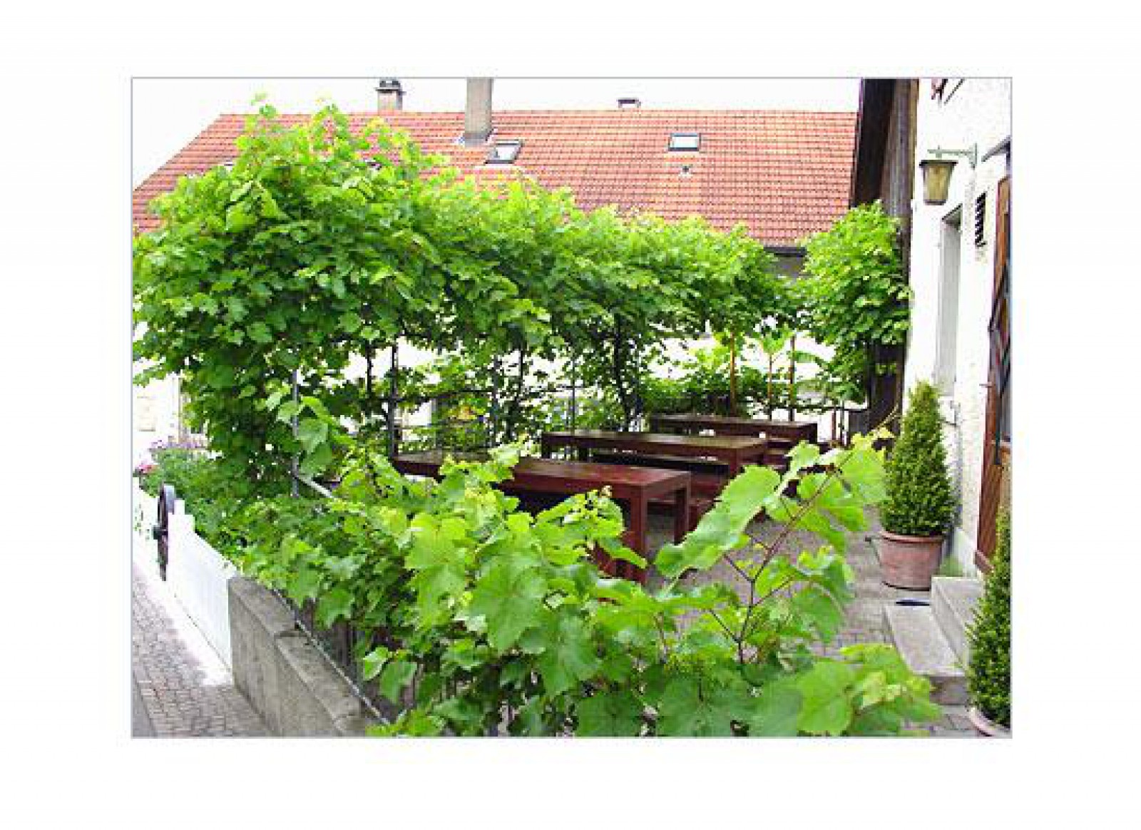 Wirtshaus zur Heimat in Ehrendingen, Foto 7