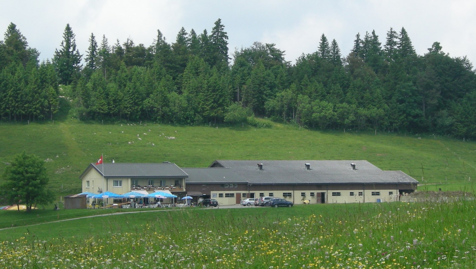 Restaurant Obergrenchenberg in Grenchen